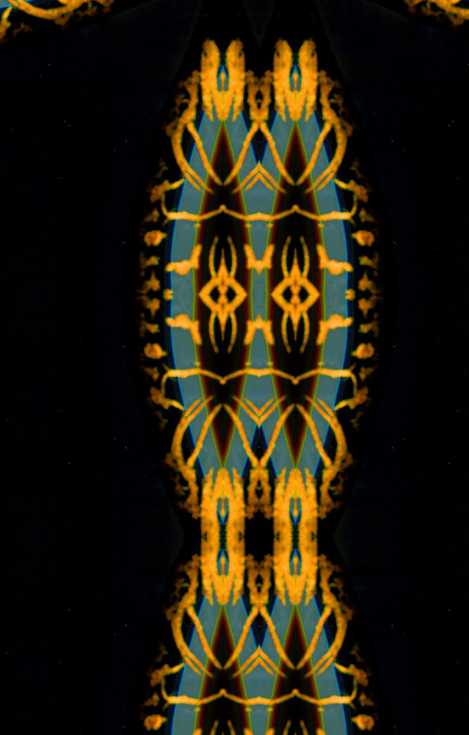 copp28 copy.jpg