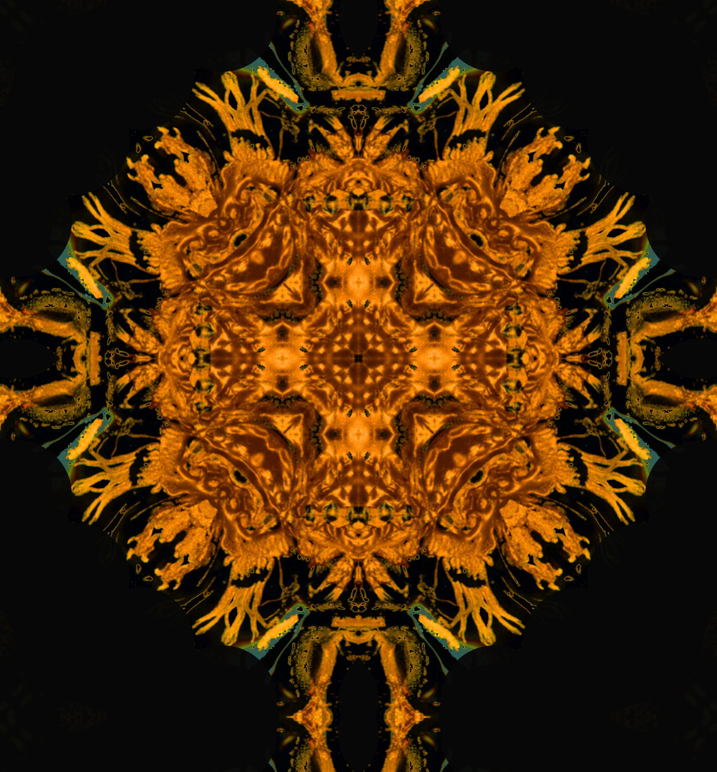 adv-cu8p--54.jpg