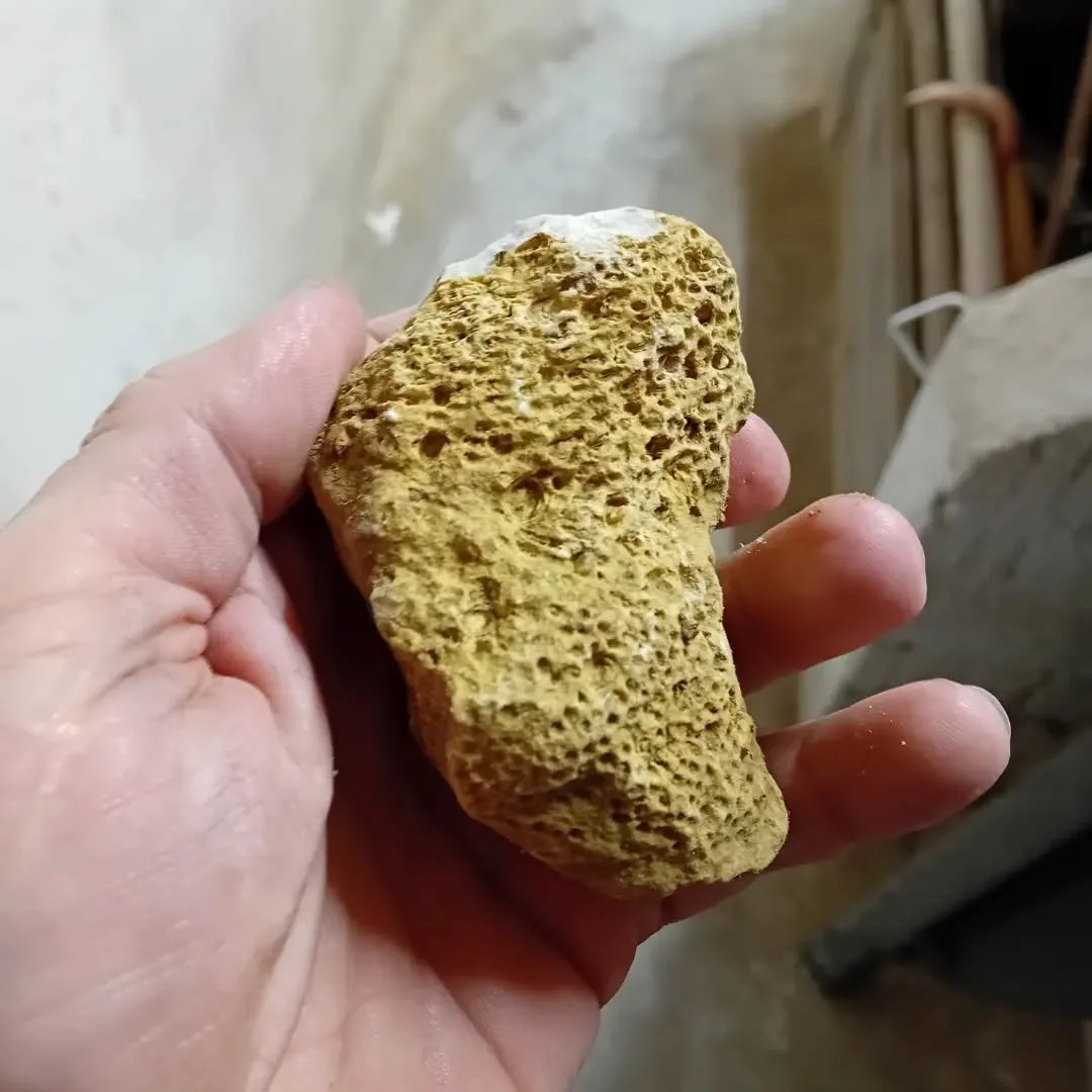 Ich bin heute bei der Arbeit &uuml;ber zwei versteinerete Korallen gestolpert.

Zuhause wurden sie gleich zu zwei sch&ouml;nen Handschmeichler verarbeitet😉☺️🥰

#heilsteine #baselbiet #handschmeichler