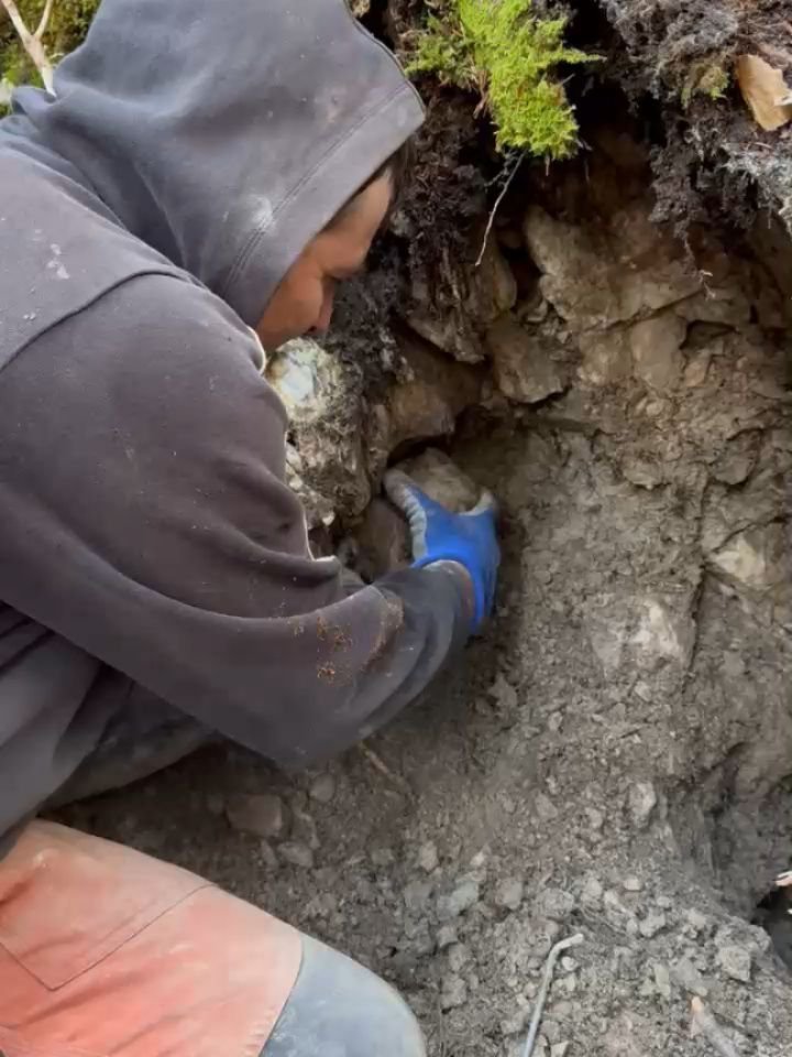 After 3 Days of cleanigprocess, thats the finish crystals from Sundays Trip 💎🥰🥳

#crystals #crsytalcollection #graub&uuml;nden #swissalps #strahlen