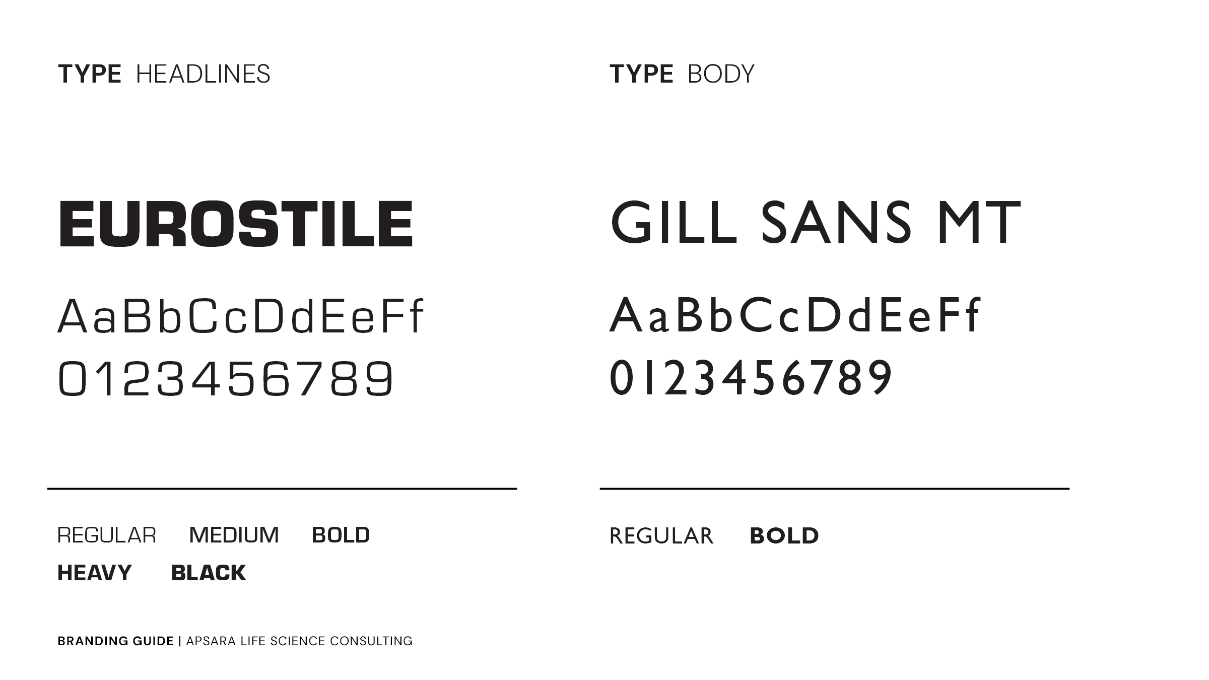 Branding Template - Apsara4.png