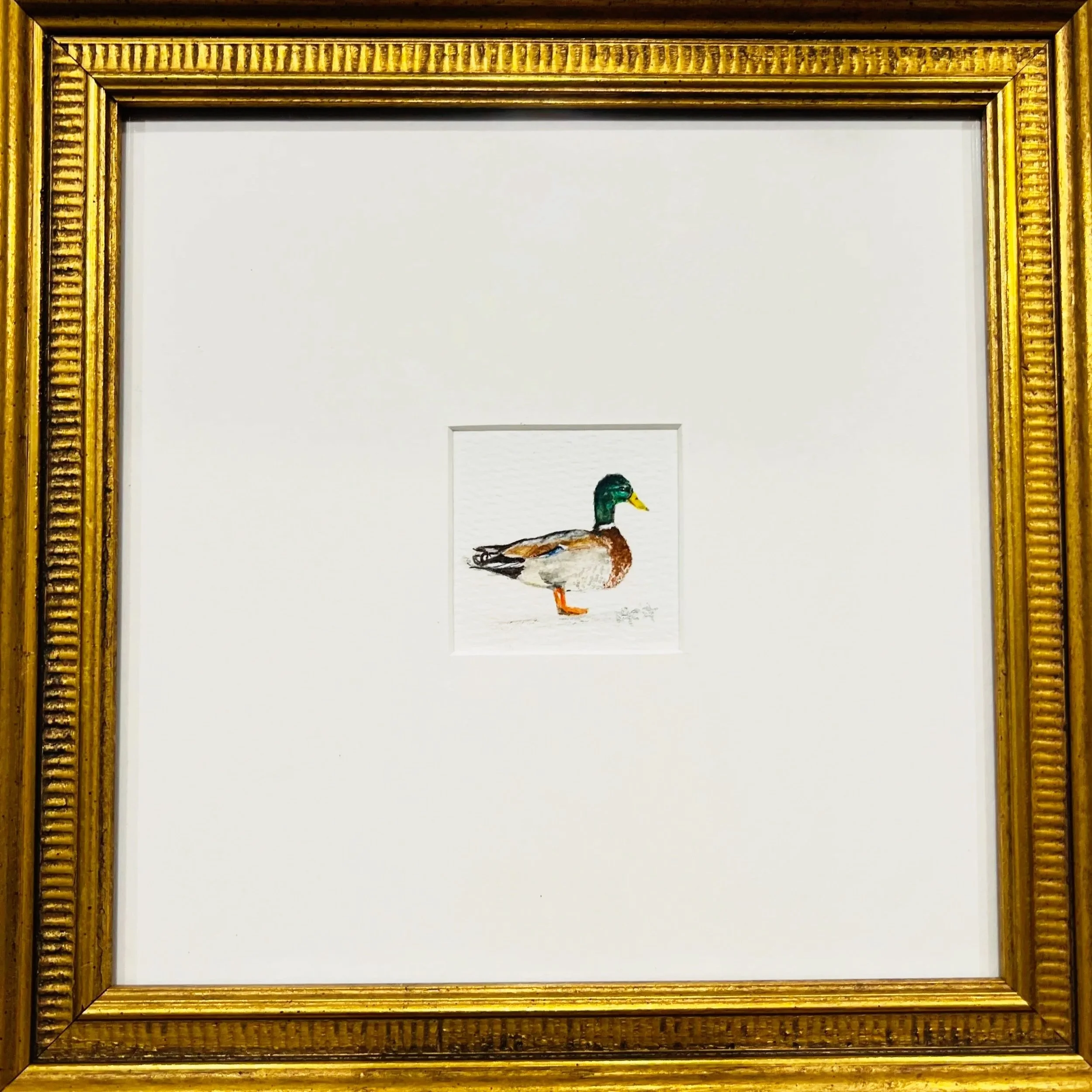 Small framed watercolor painting of a mallard duck with a green head, brown chest, and orange legs, centered on white matte in a gold ornate frame.