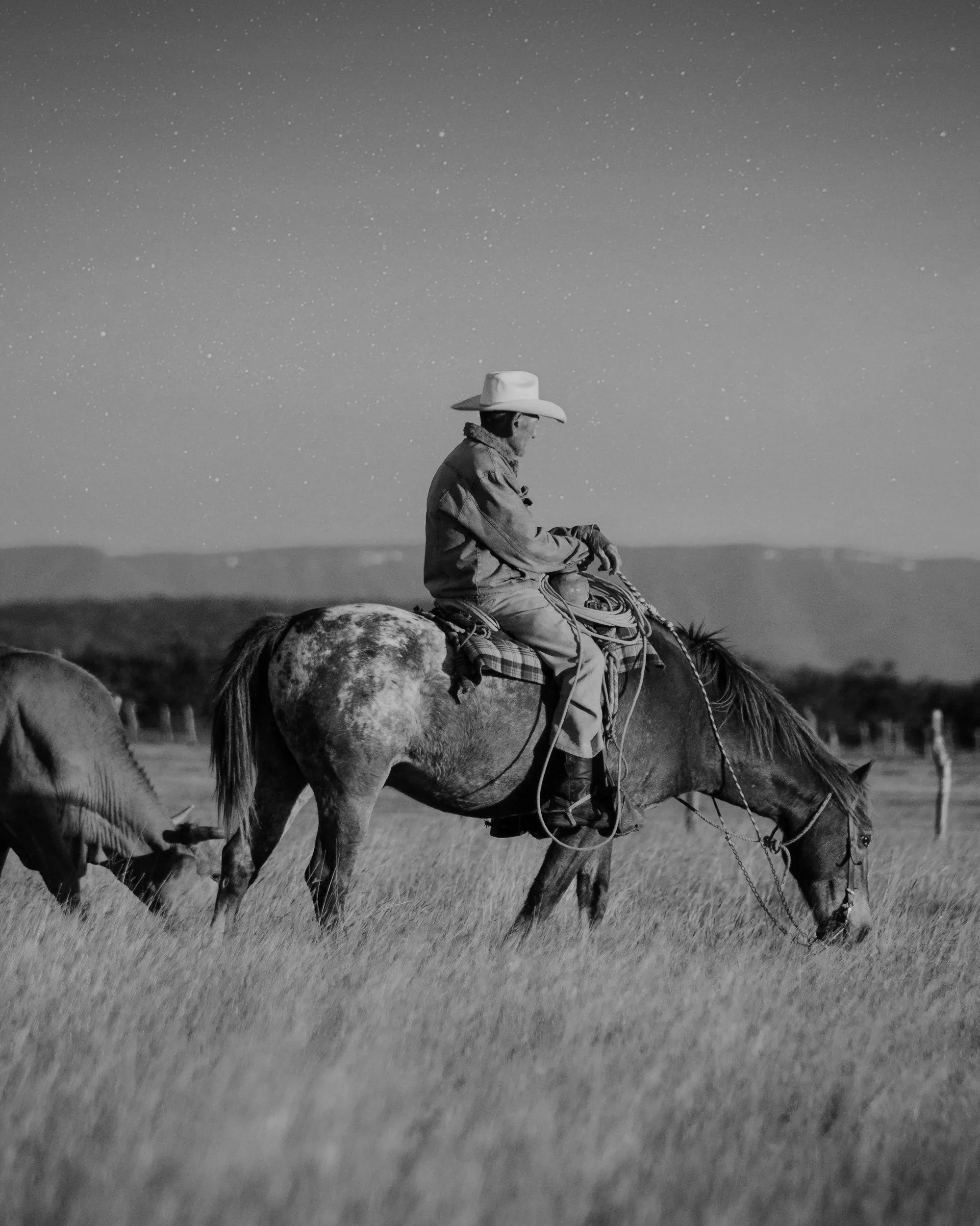 A man wearing a cowboy hat rides a horse in a grassy field, with starry sky in the background, black and white photo.