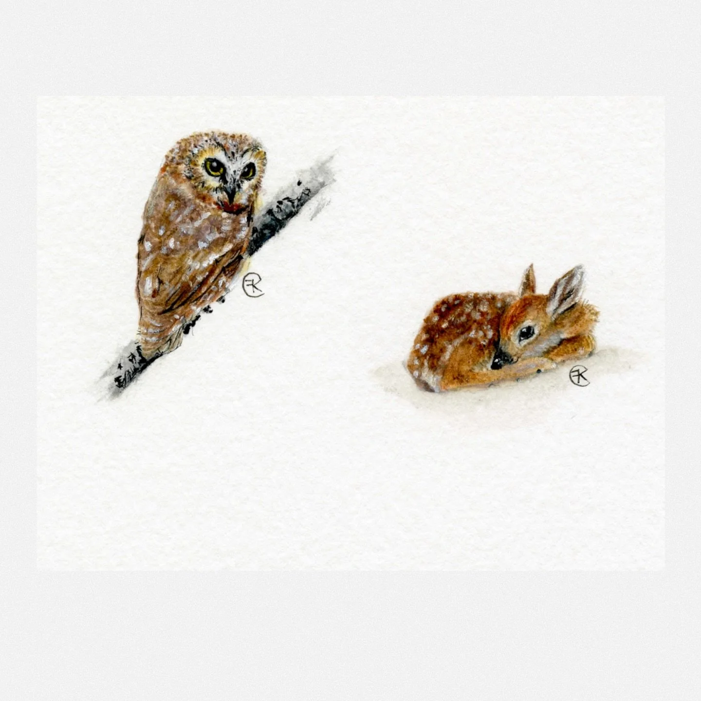 Owl + Fawn prints now available. 

Limited edition prints are printed on archival matte fine art paper using gicl&eacute;e pigment printing for lasting color and detail.

Visit kristinafaillacrowder.com 

#watercoloranimals
#artcollectors
#nurseryart