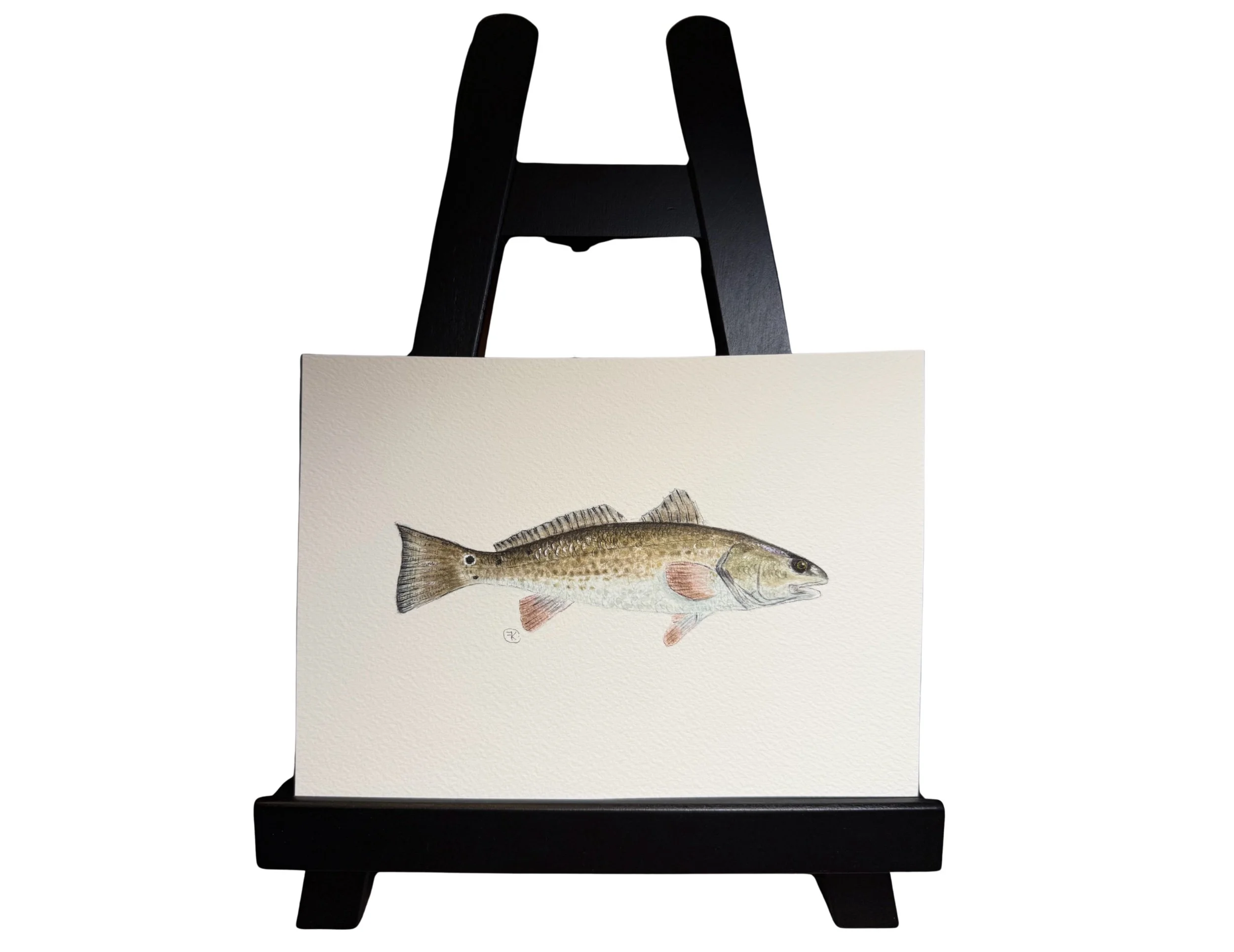 Redfish - Coming Soon