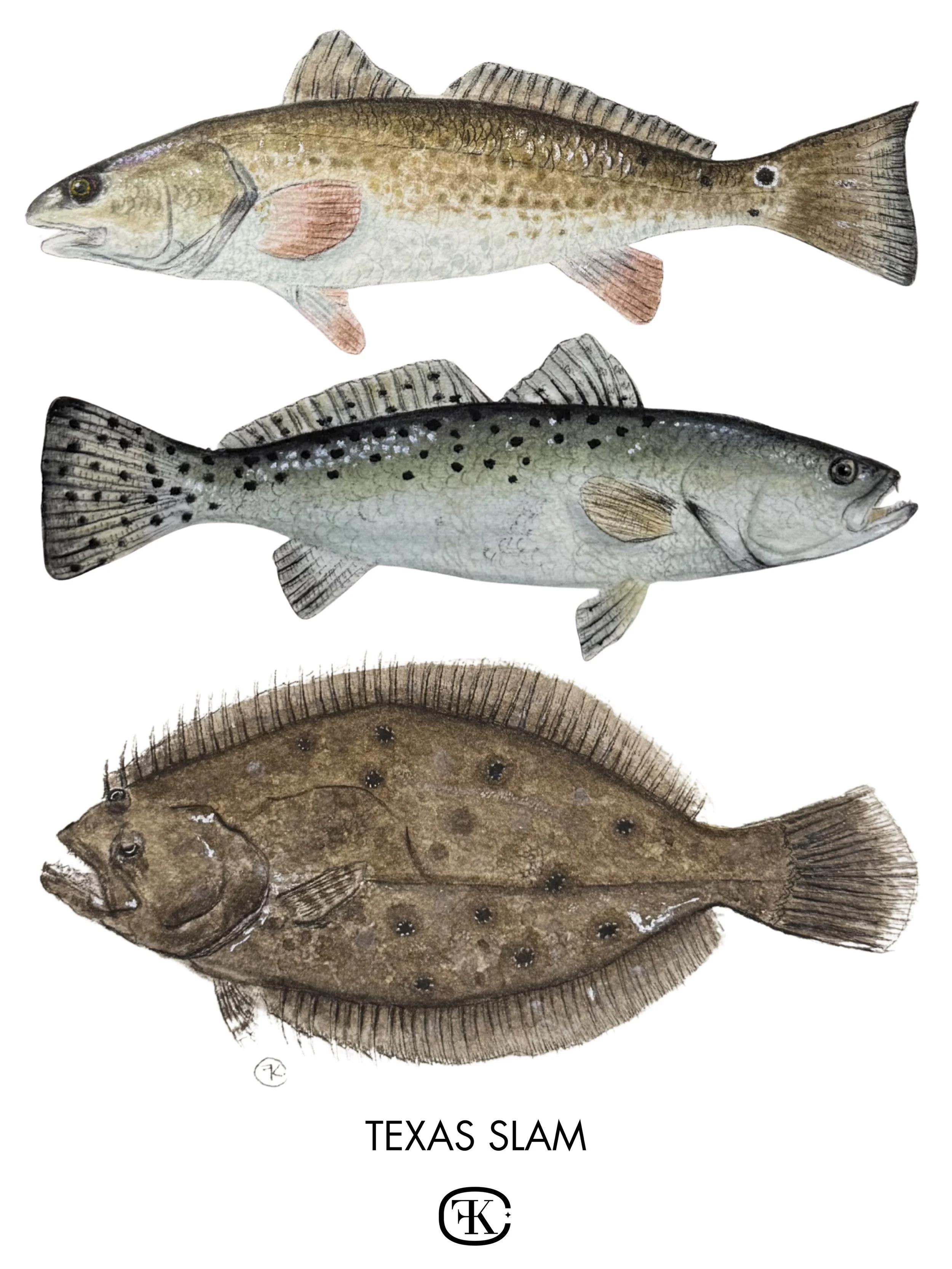 Texas Slam

A small watercolor collection featuring a redfish, speckled trout, and flounder. The classic Texas coast trio. 

www.kristinafaillacrowder.com 
Originals and prints available soon 𓆜⋆˚࿔

#saltwaterfish #texascoast #texasart #coastalartist