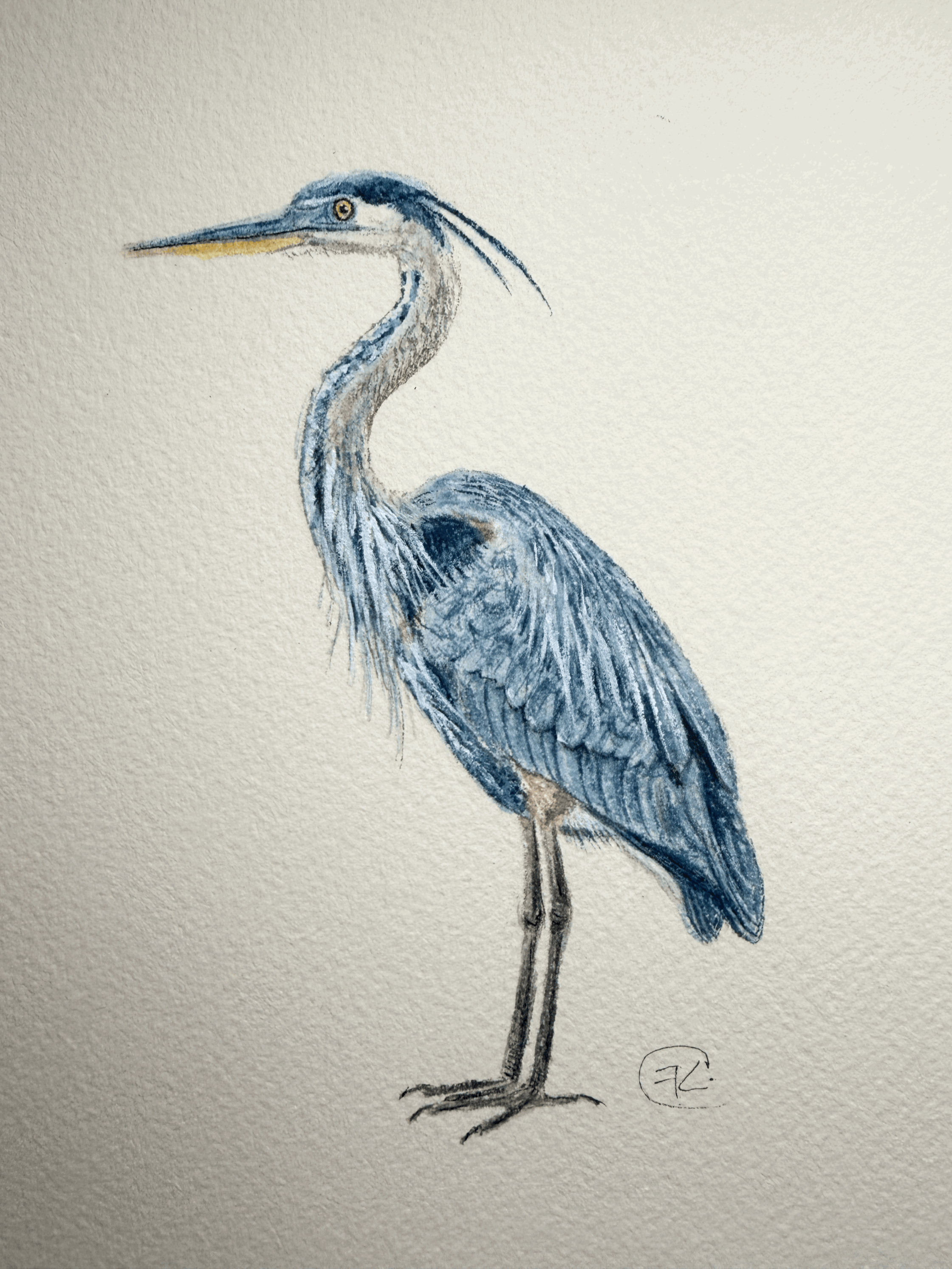 The Great Blue Heron Original