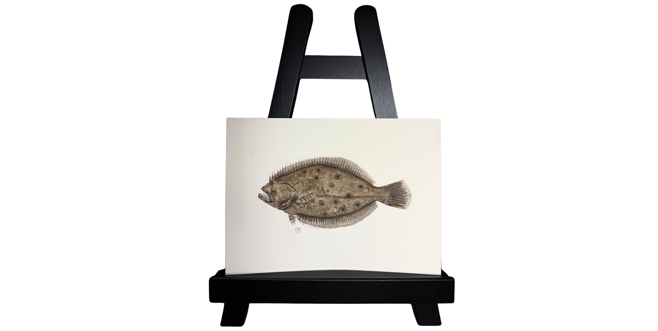 Original Flounder