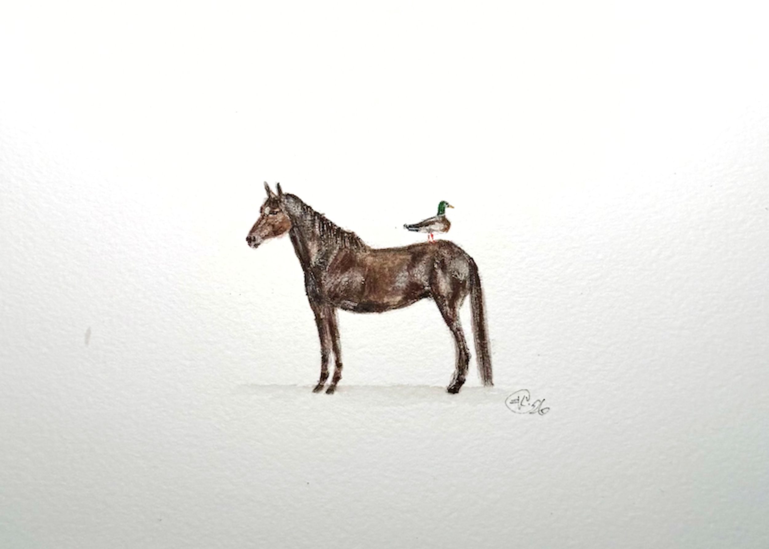 A Duck on a Horse Original