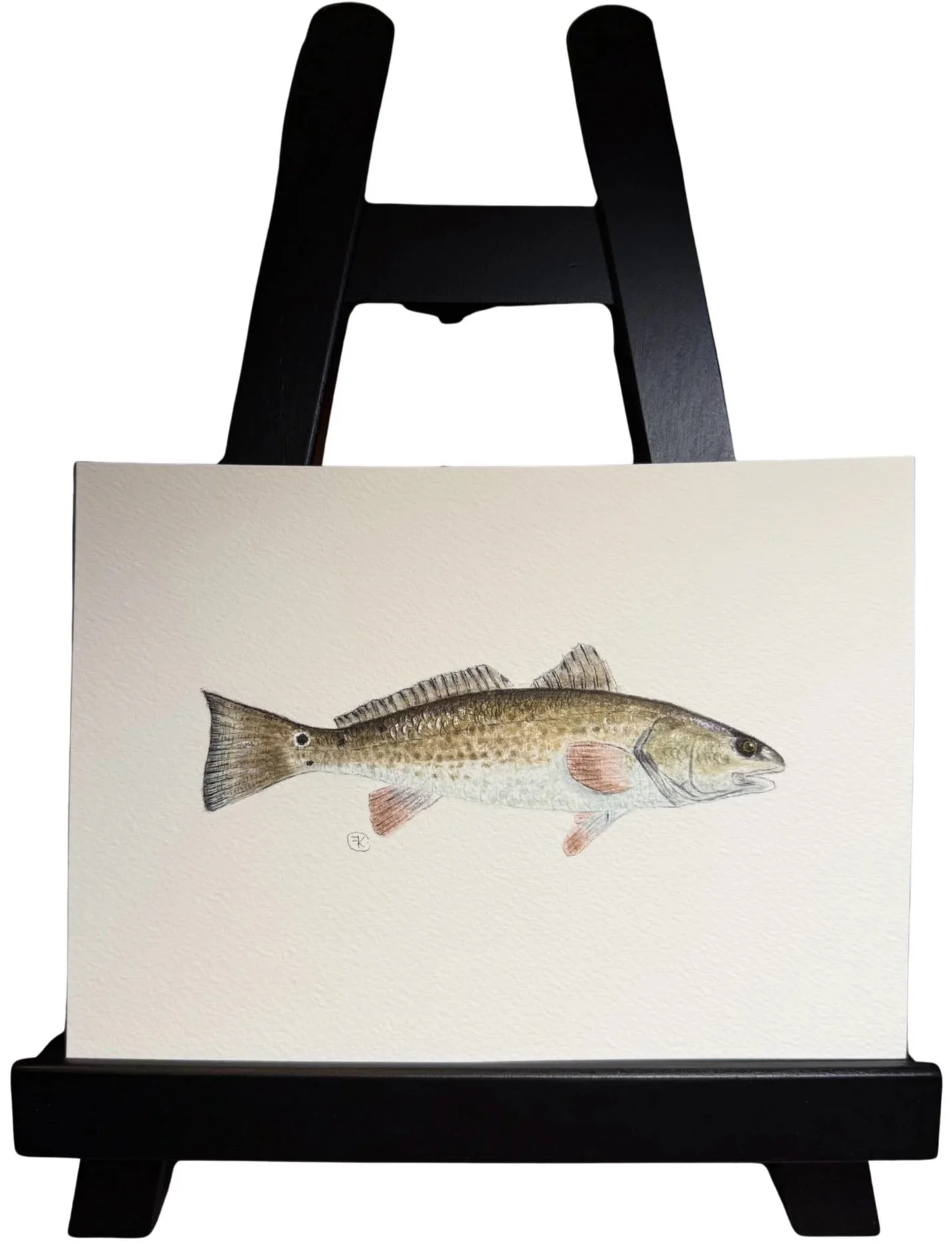 Original Redfish