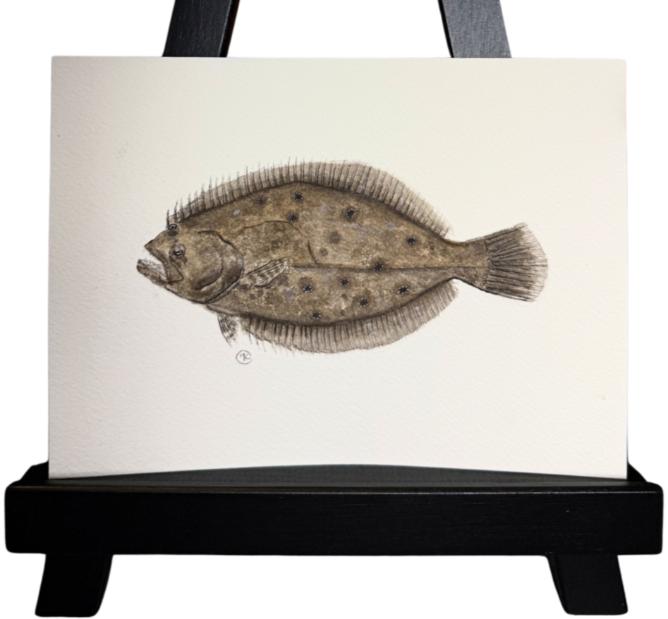 ffffflounder.png