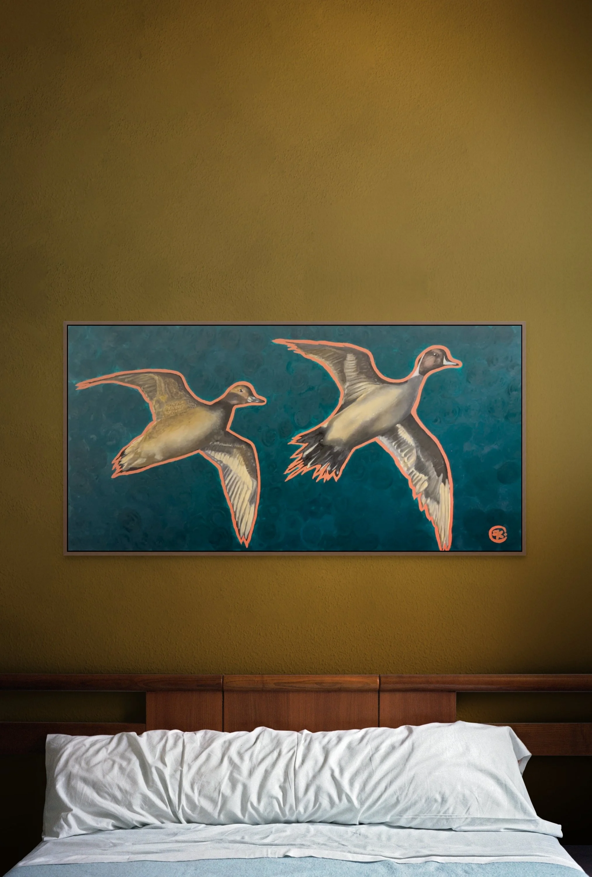 pintail in flight-full.jpg