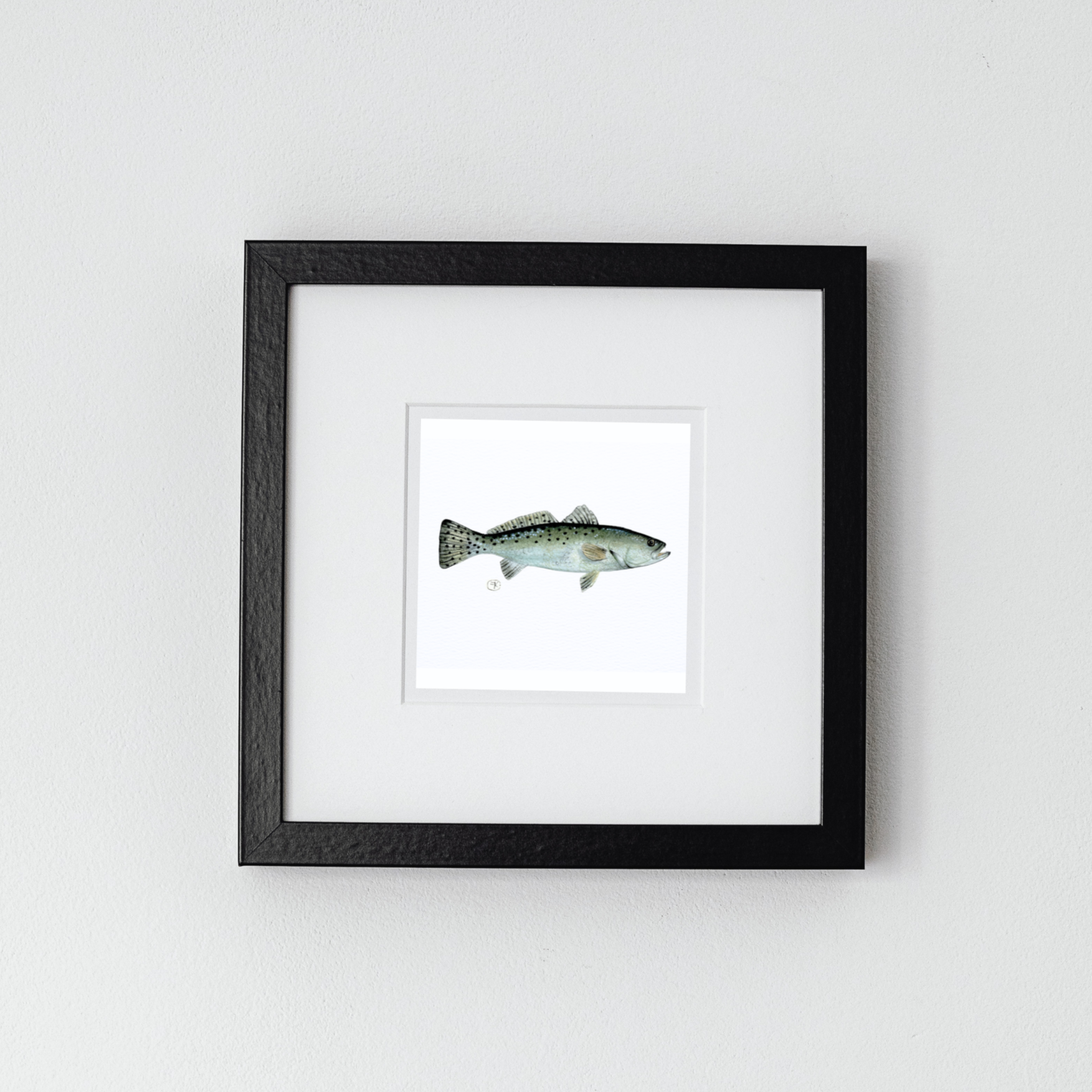 Speckled Trout Archival Print