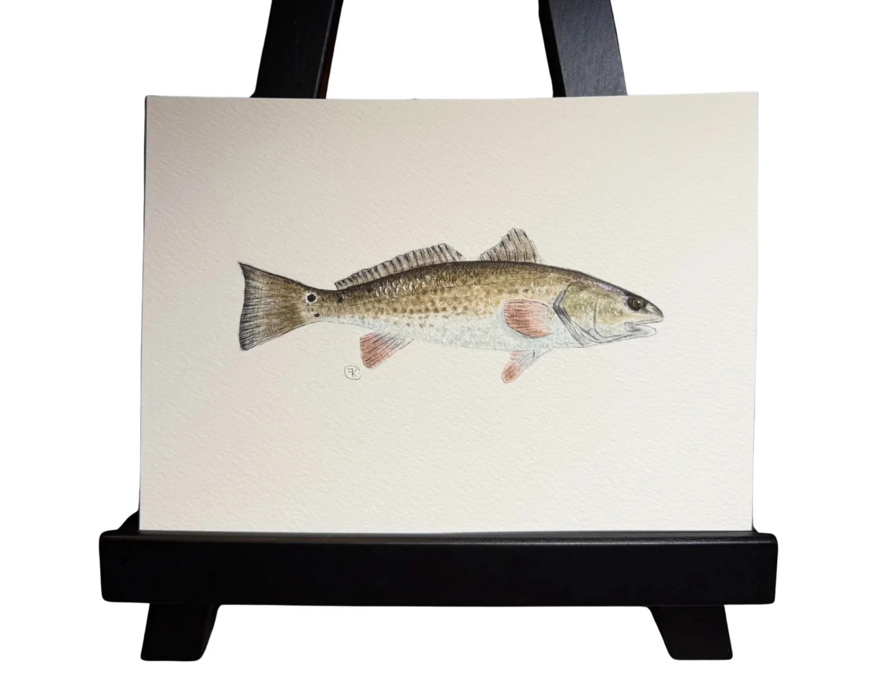 Original Redfish