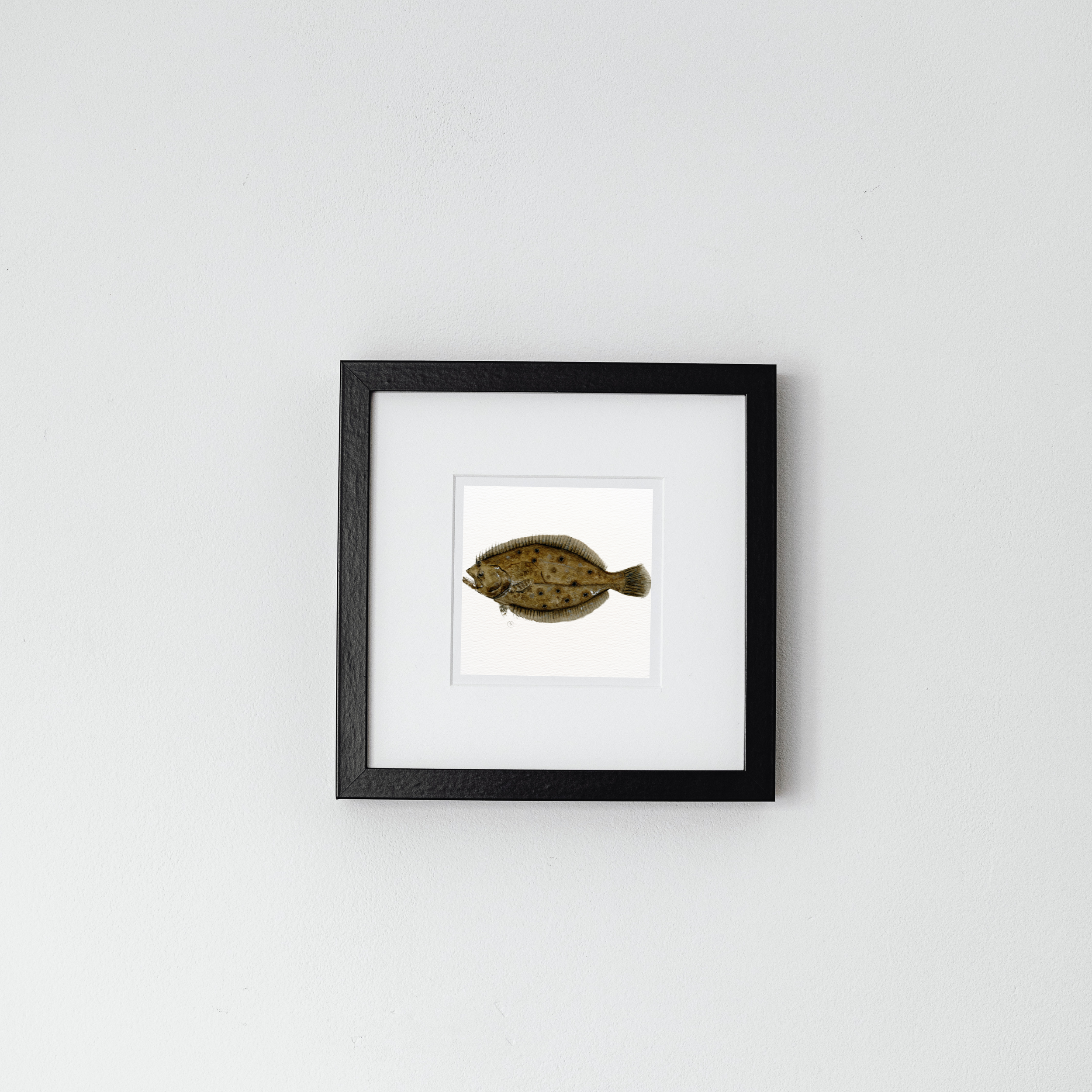 floundeth111.png