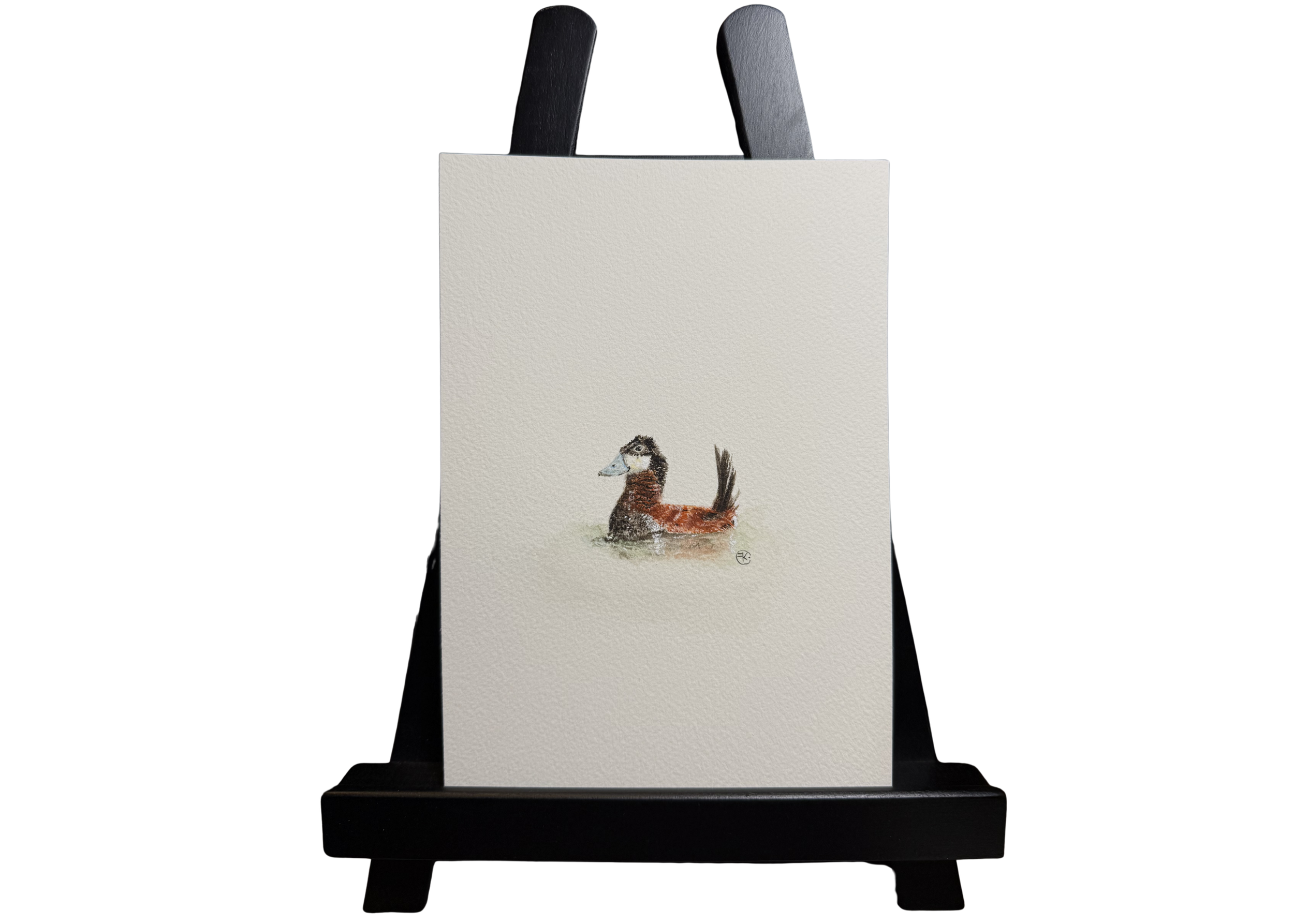 Original Ruddy Duck