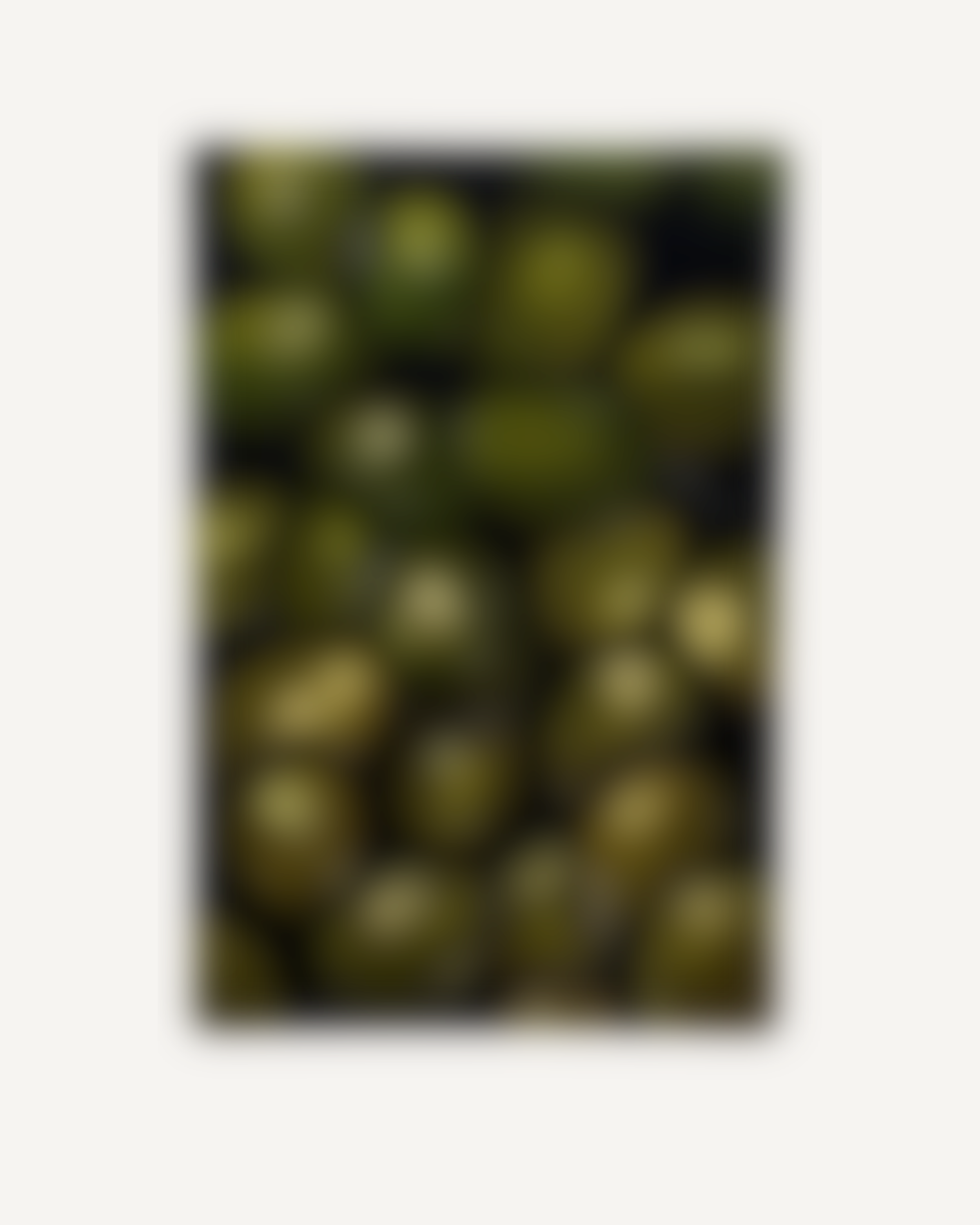 Olives in Oil - Coming Soon