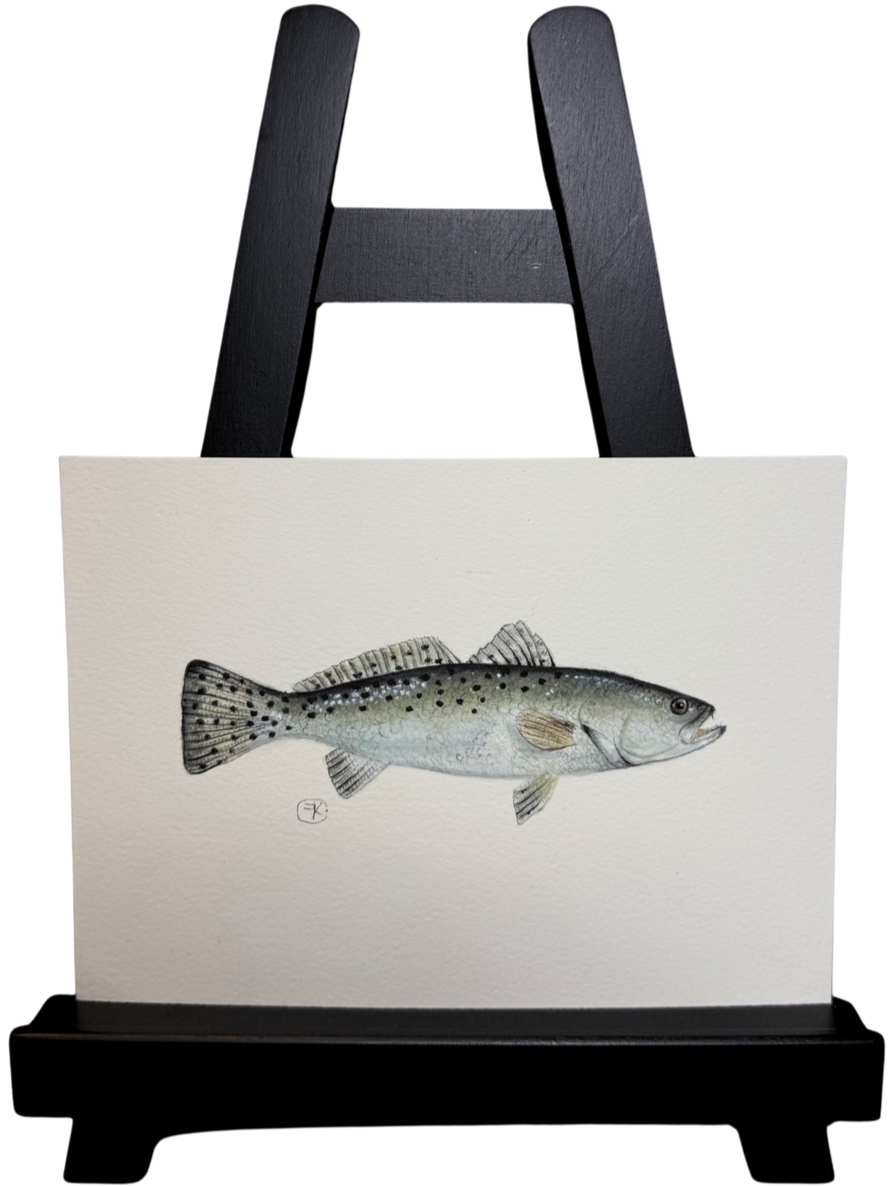 Original Speckled Trout