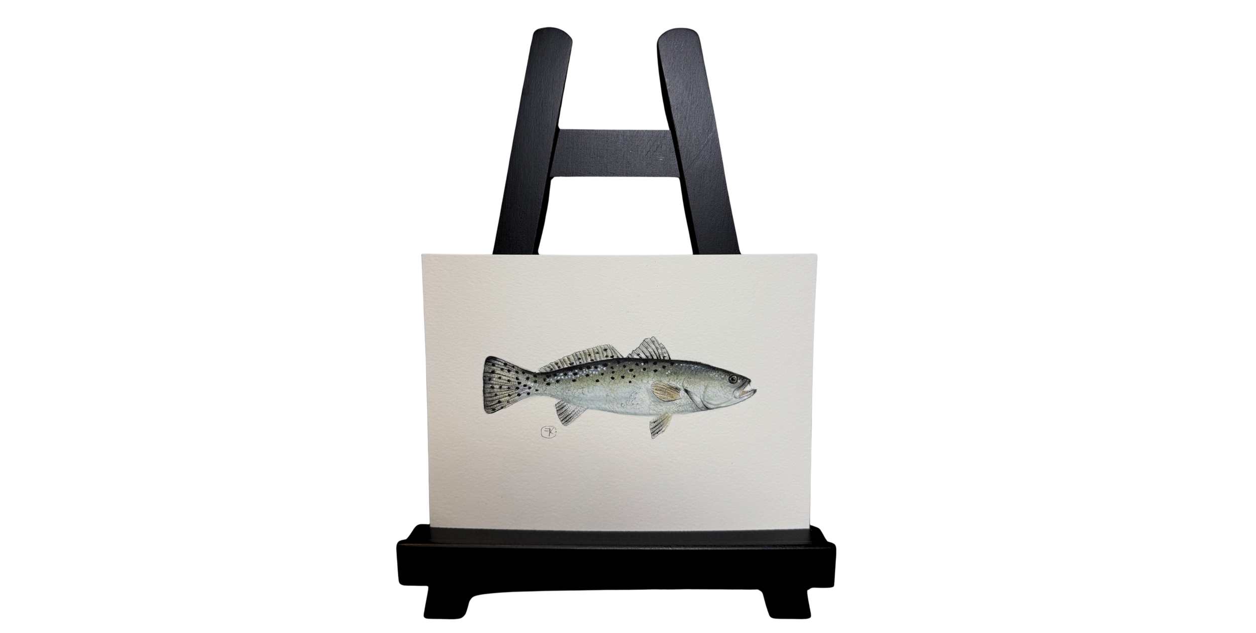 Speckled Trout - Coming Soon