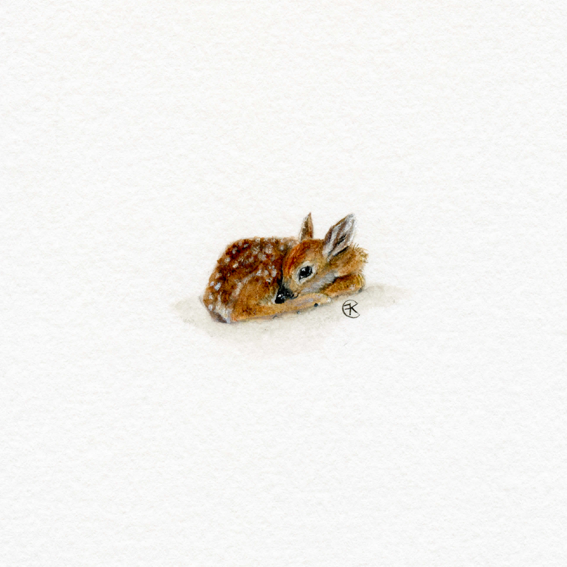 Micro Fawn Archival Print