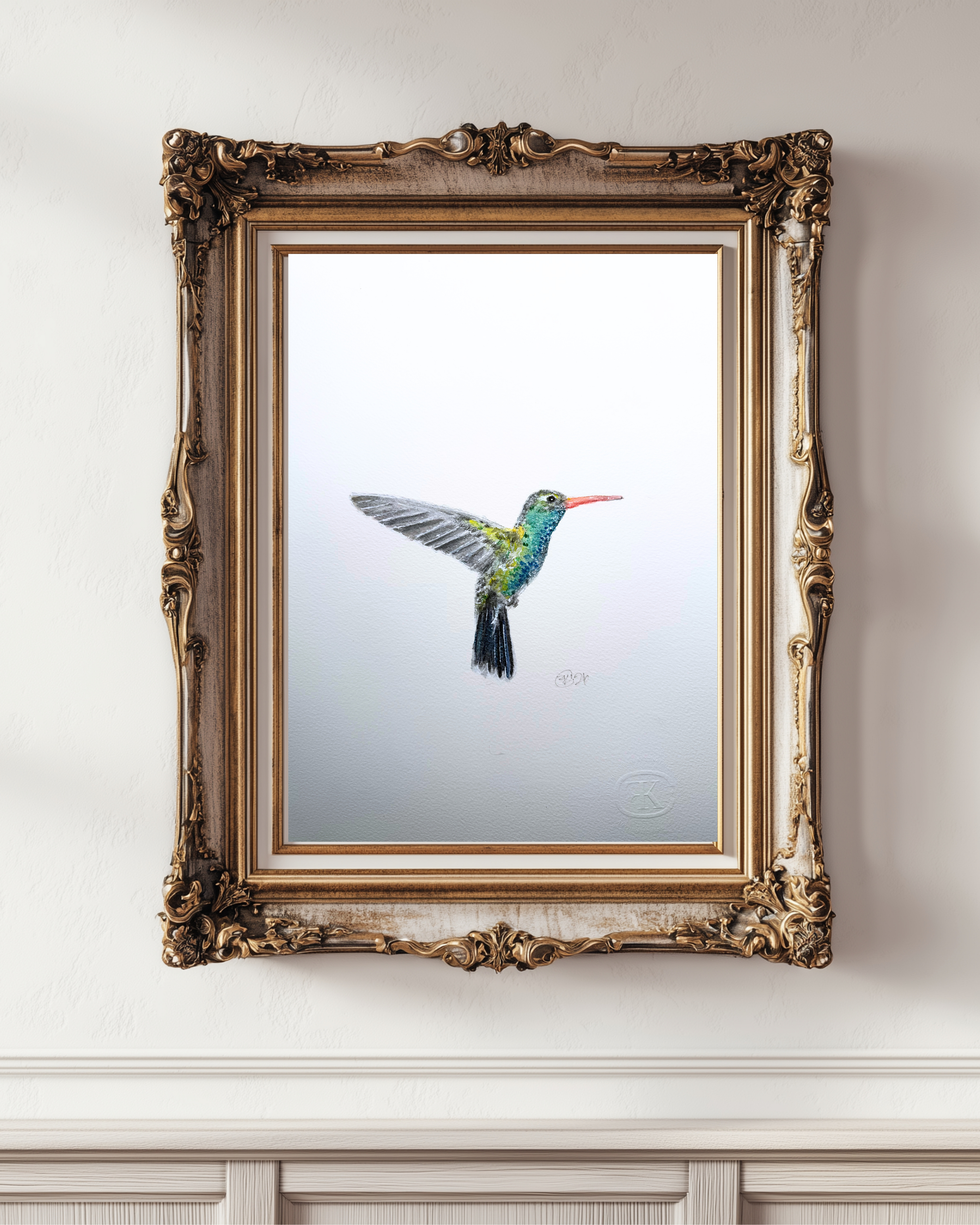 broadbilledhummer.png