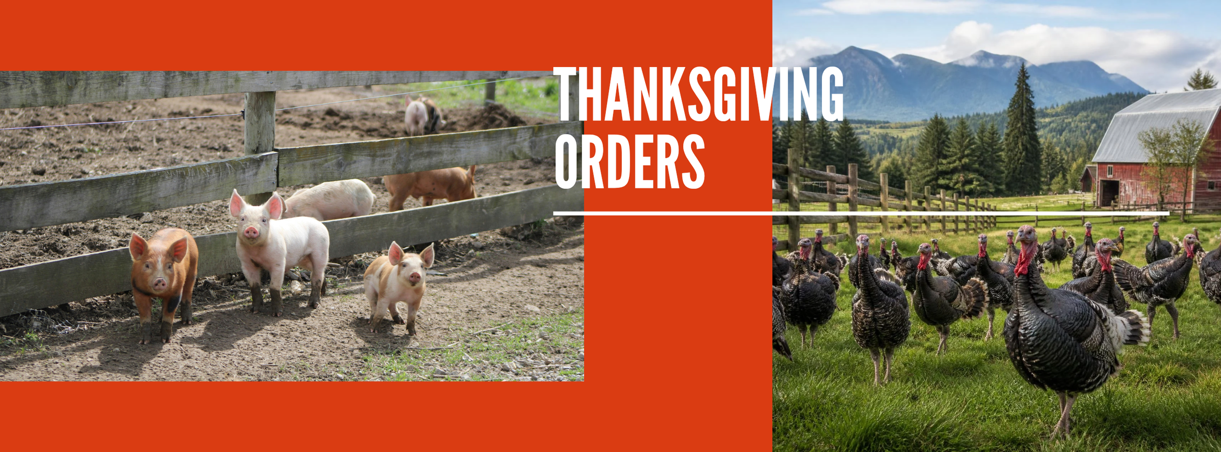 Thanksgiving Orders