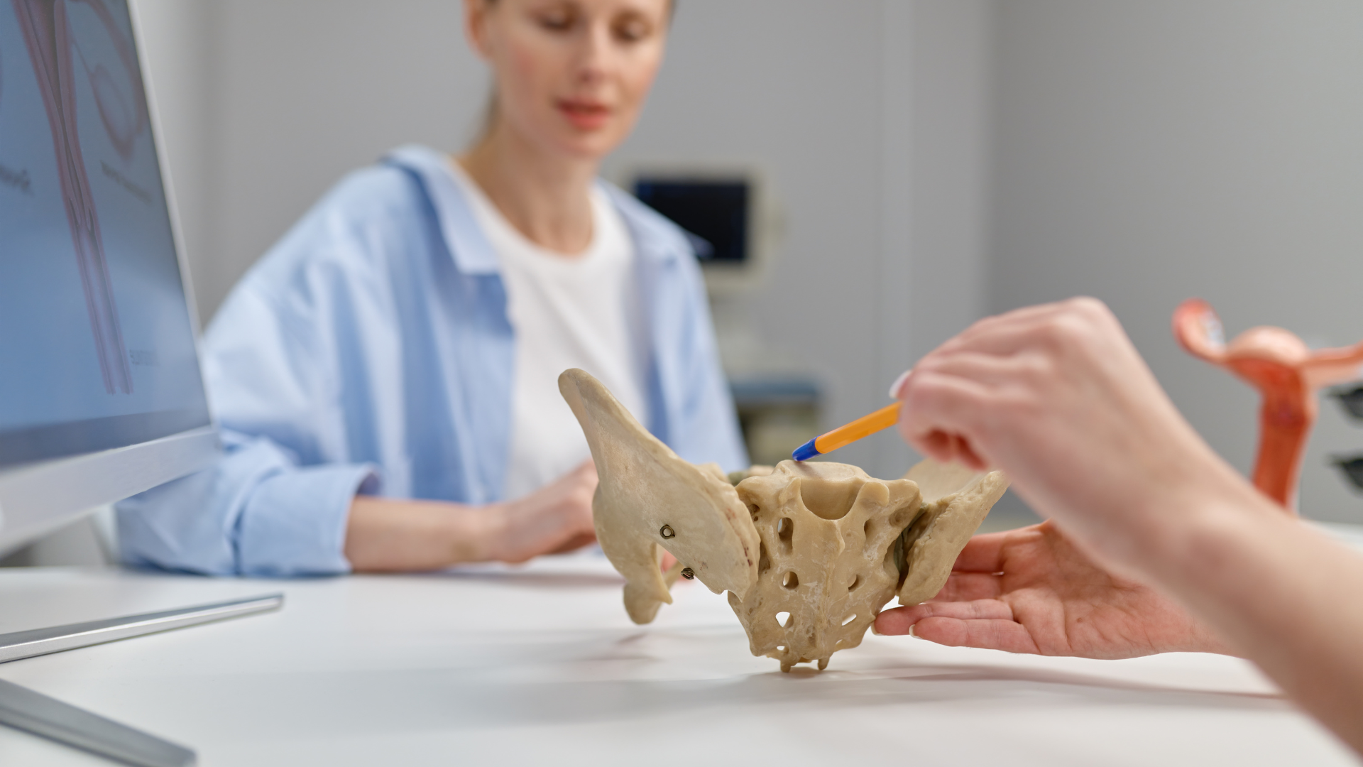 Une femme en blouse observe une reproduction de squelette d'os pelvien au laboratoire.