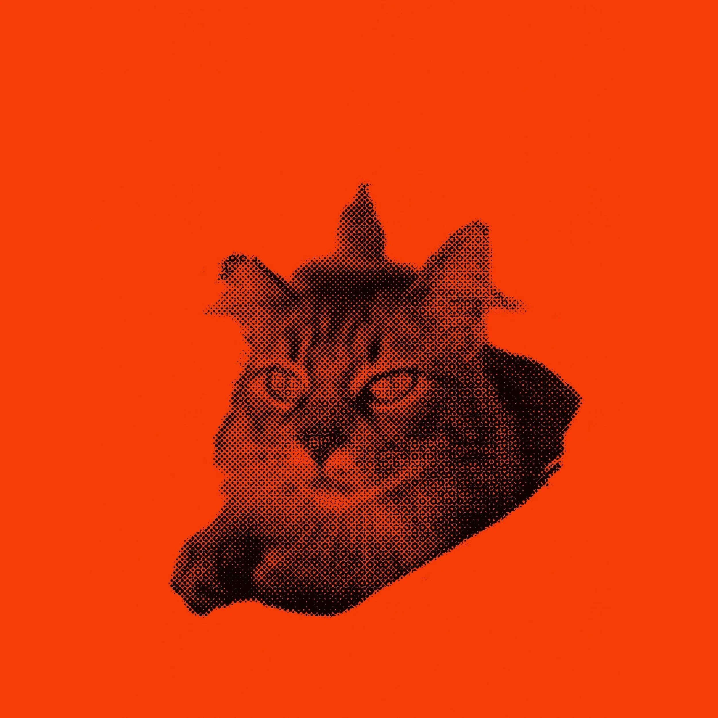 Cinema Club: Thelmarama in Residence