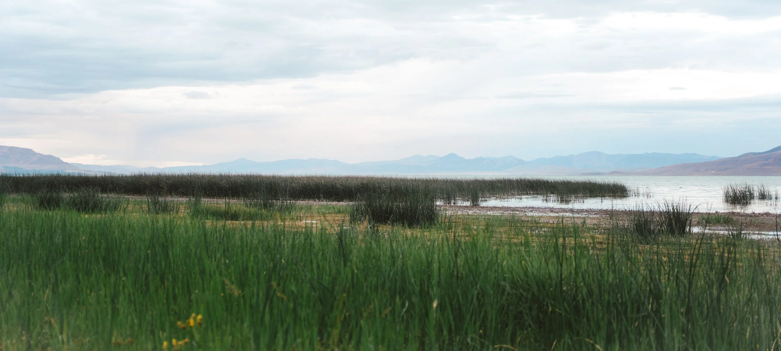 Scenic landscape of a grassy shoreline with water and mountains in the background, under a cloudy sky.