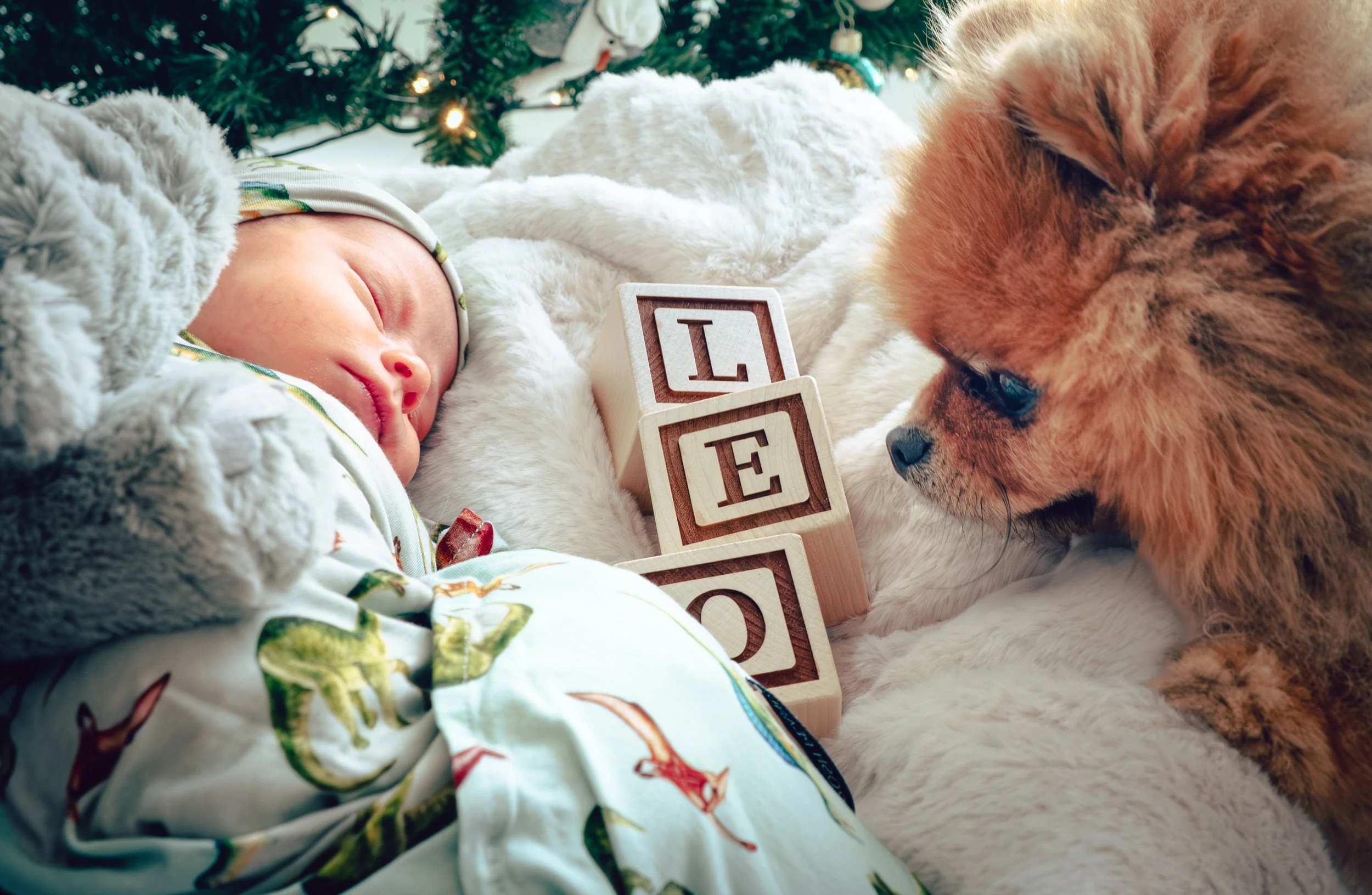 A sleeping baby in pajamas with dinosaurs, a small dog looking at the baby, and wooden blocks spelling 'LOVE' on a soft blanket near a decorated Christmas tree.