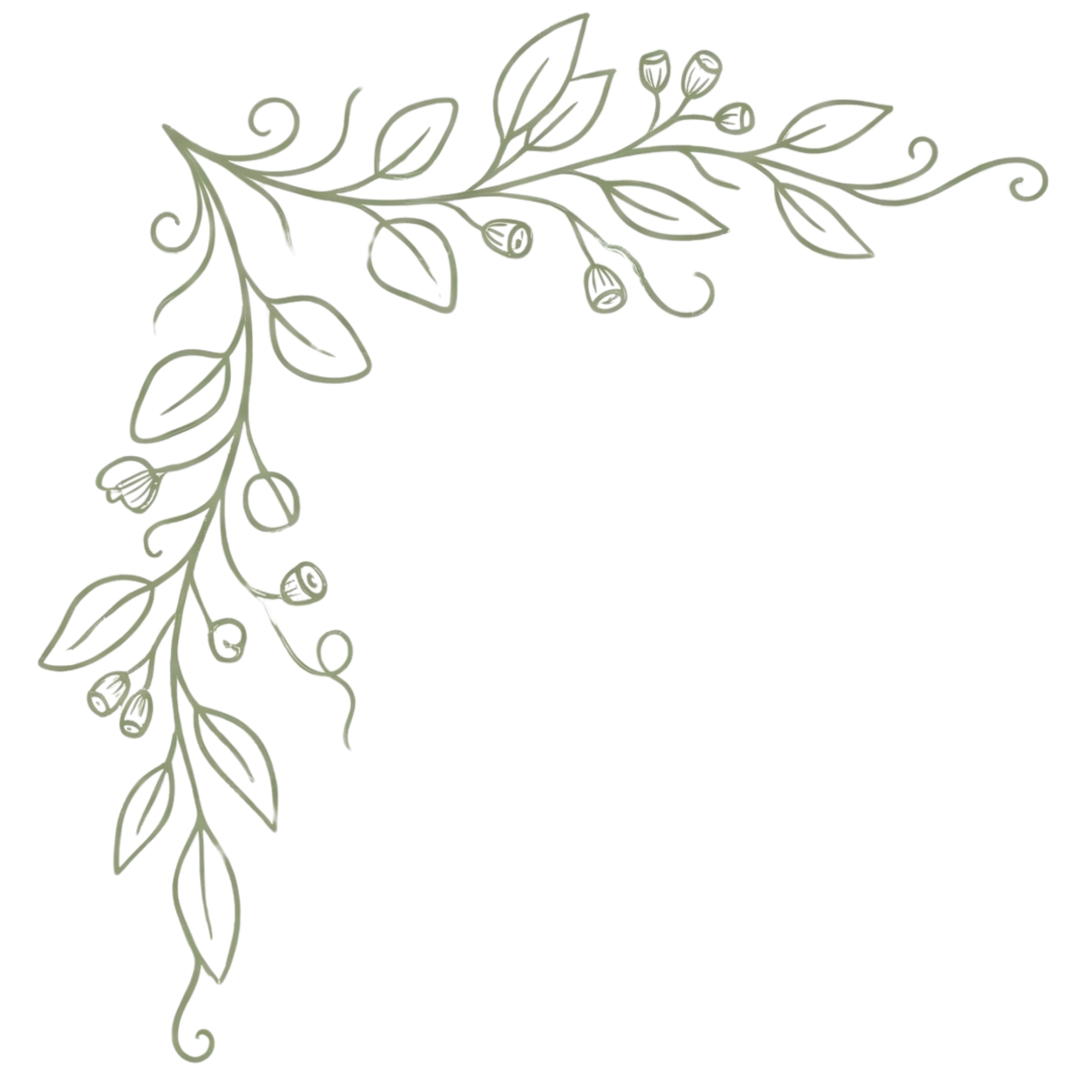 Decorative floral frame with leaves and buds in silver outline, blank space in center for text.