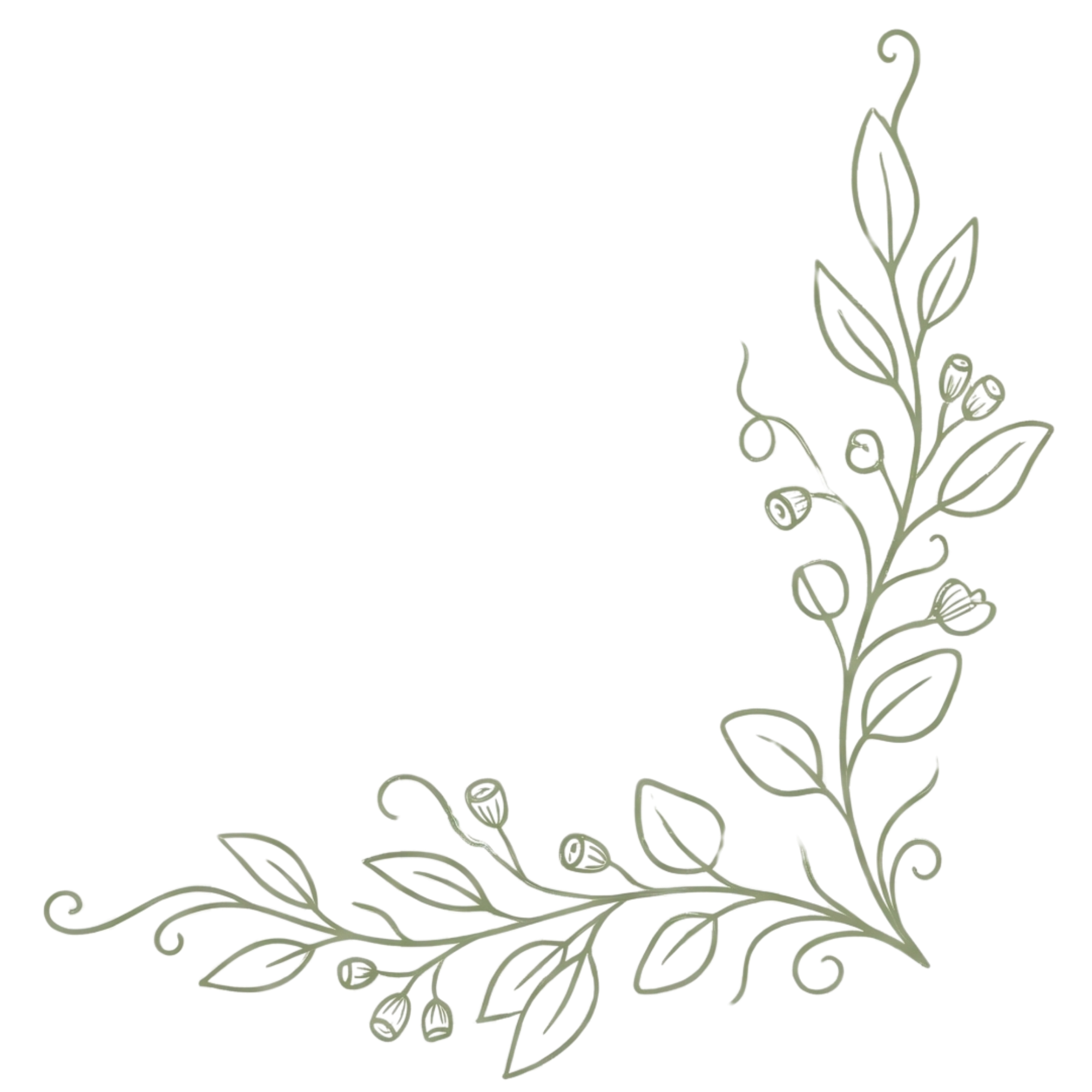 Decorative border made of a gray outline of a leafy plant with buds and small round berries, positioned in the bottom right and lower left corners of the image.