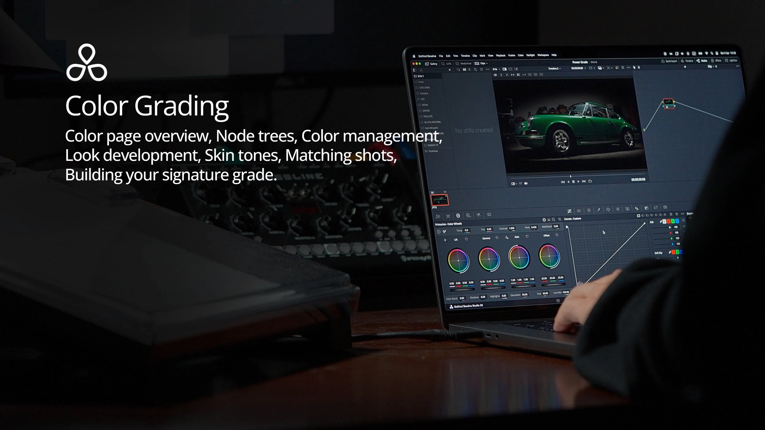 Color Grading, Color Page Overview, Node Trees, Color Management, Look Development, Skin Tones, Matching Shots, Building signature grade