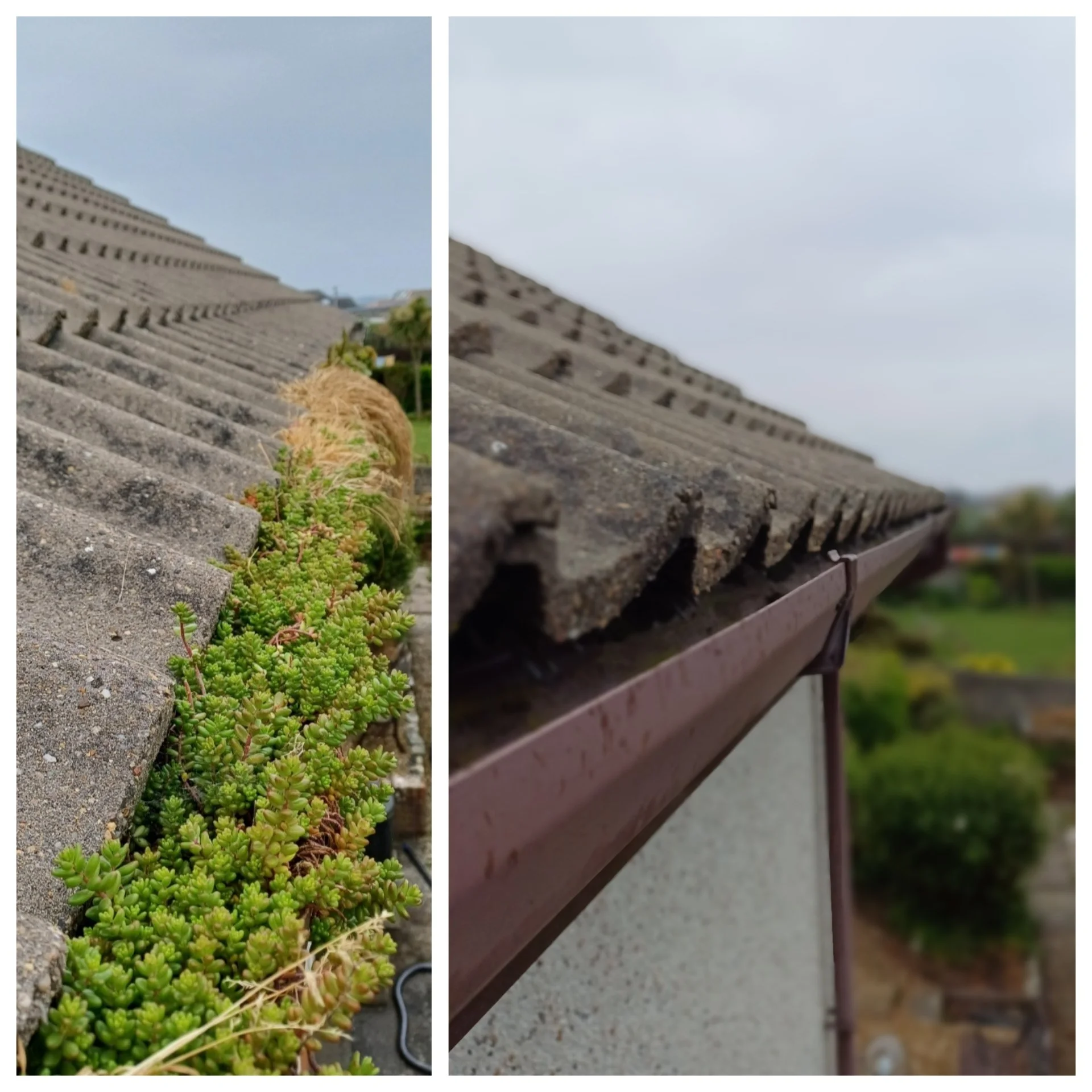 Gutter Clearing