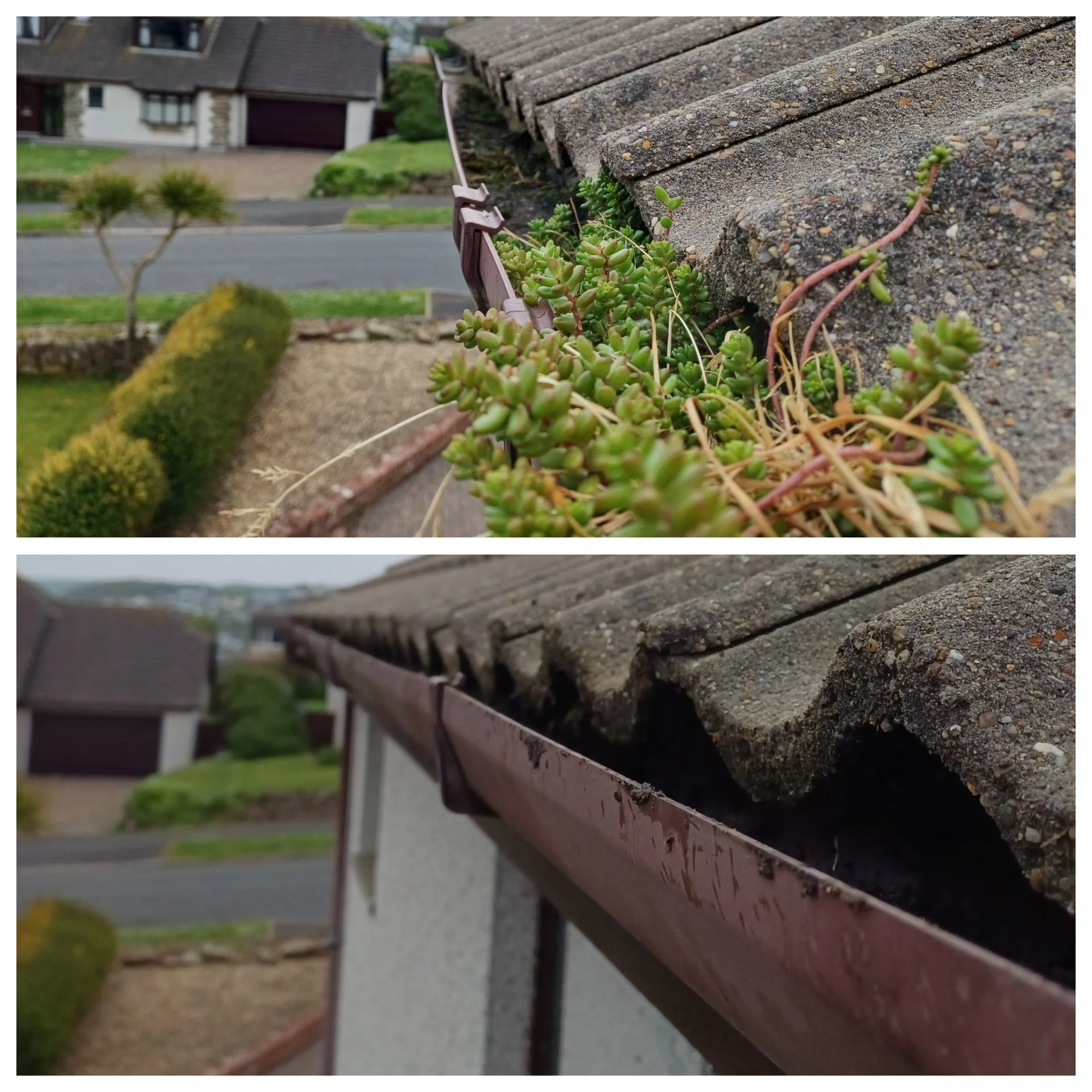 Gutter Clearing