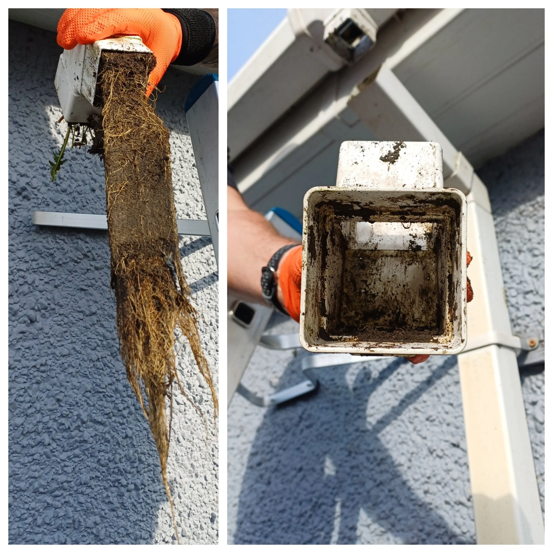 Gutter Clearing