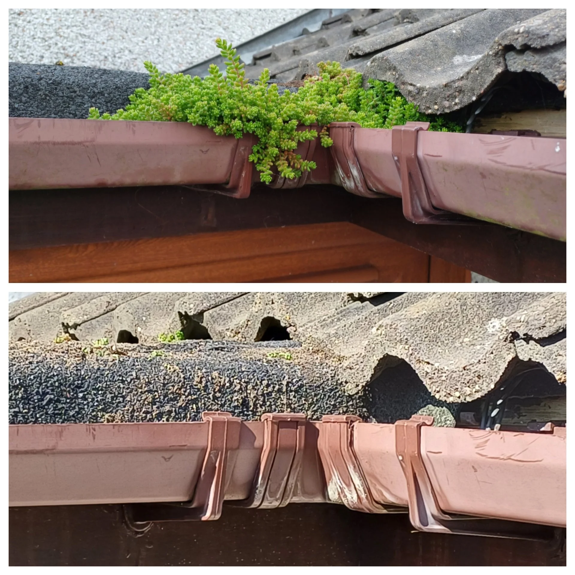 Gutter Clearing