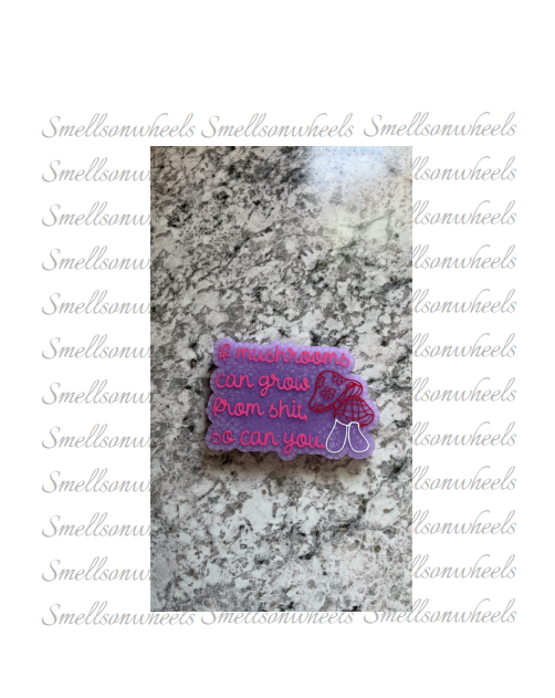 IF MUSHROOMS CAN GROW FROM SHIT SO CAN YOU