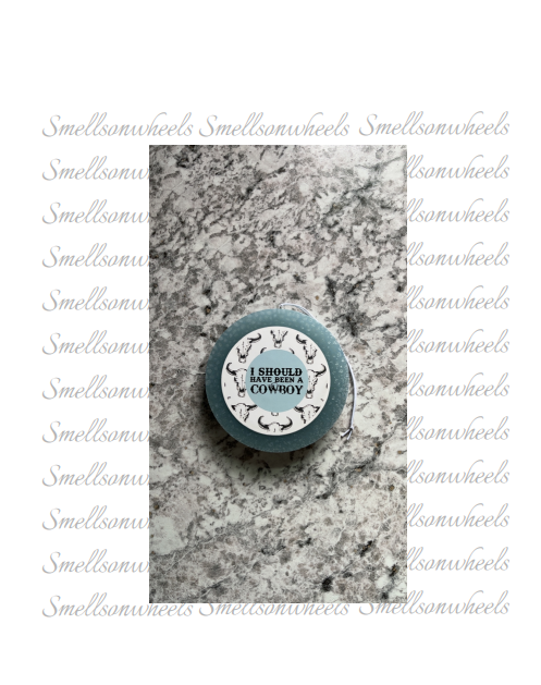 I Should Have Been A Cowboy