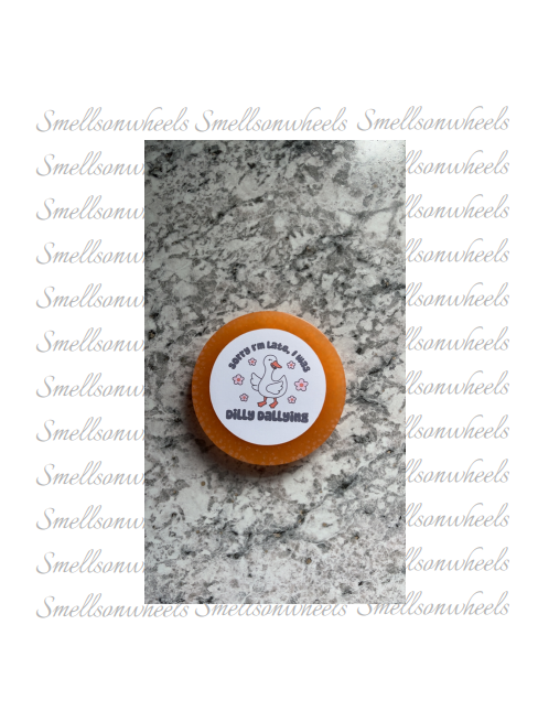 Sorry I'm Late, I Was Dilly Dallying