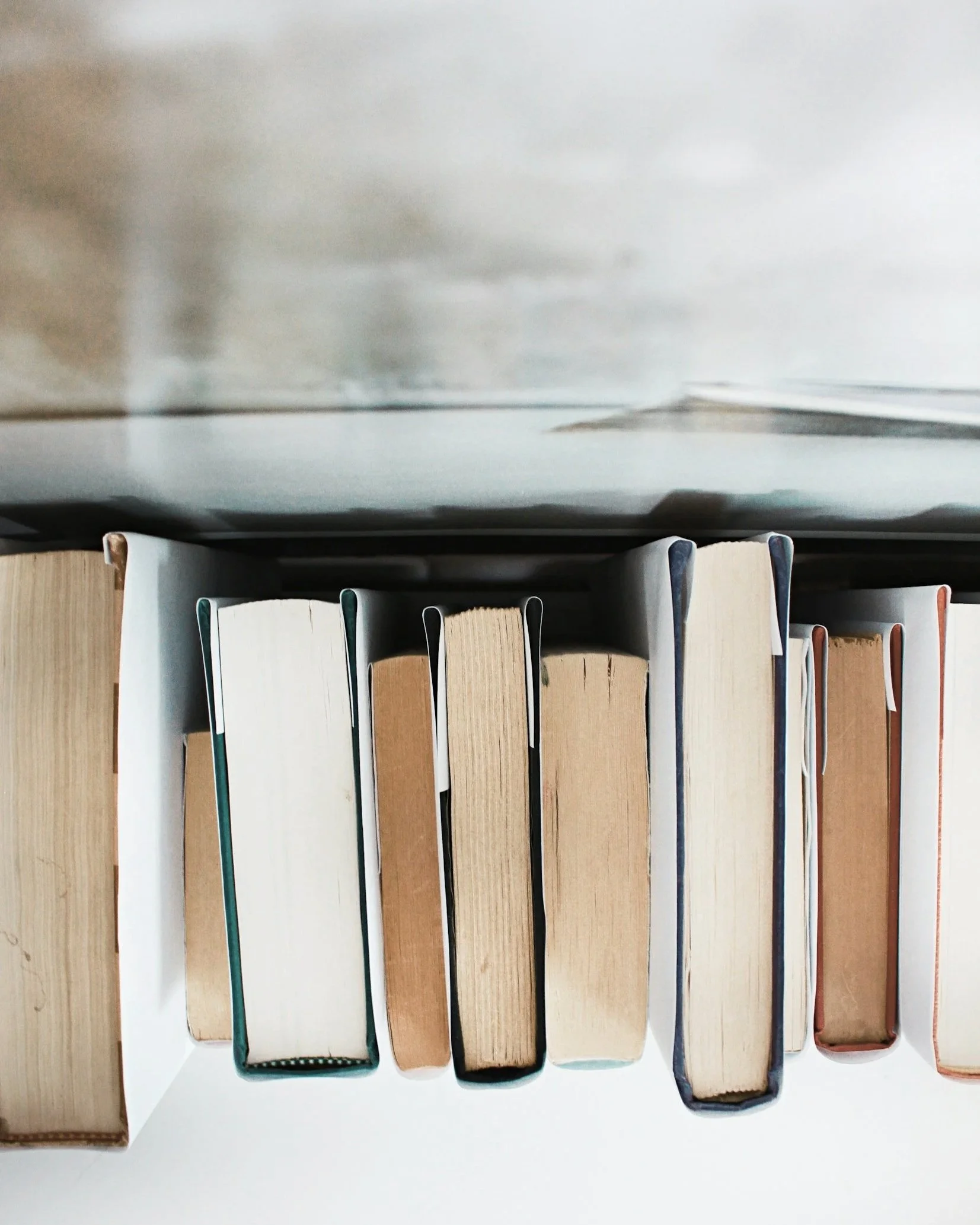 Close-up of colorful children's books on a shelf with various titles visible.