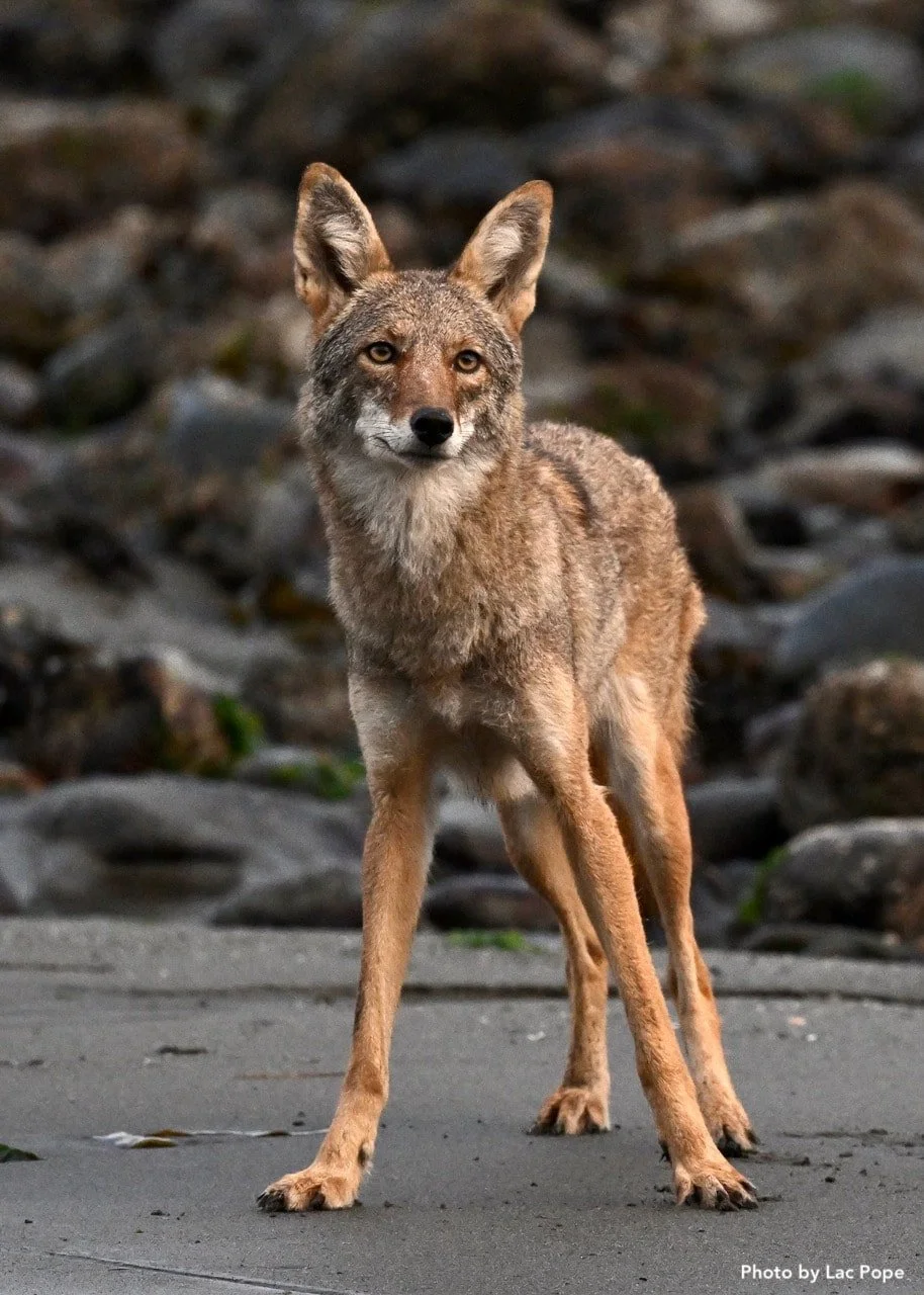 Week 13: August 24th-30th