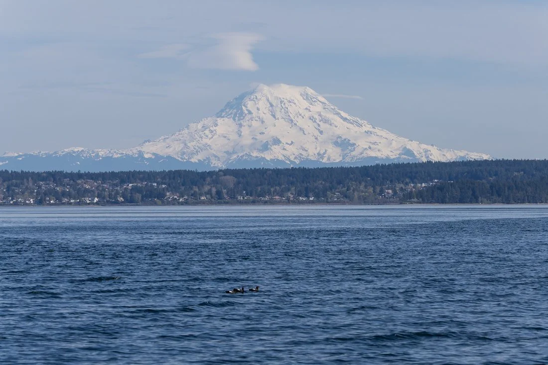 Week 1: June 1st-7th Season Kick-off!