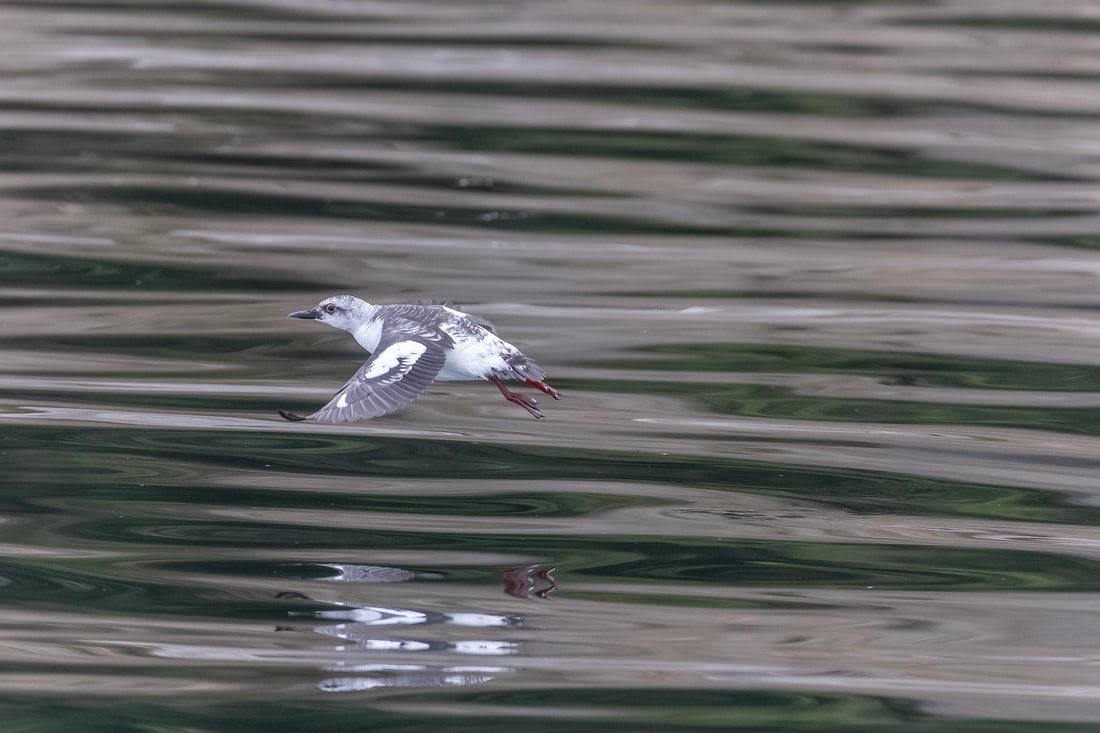 Week 10: August 4th - 10th