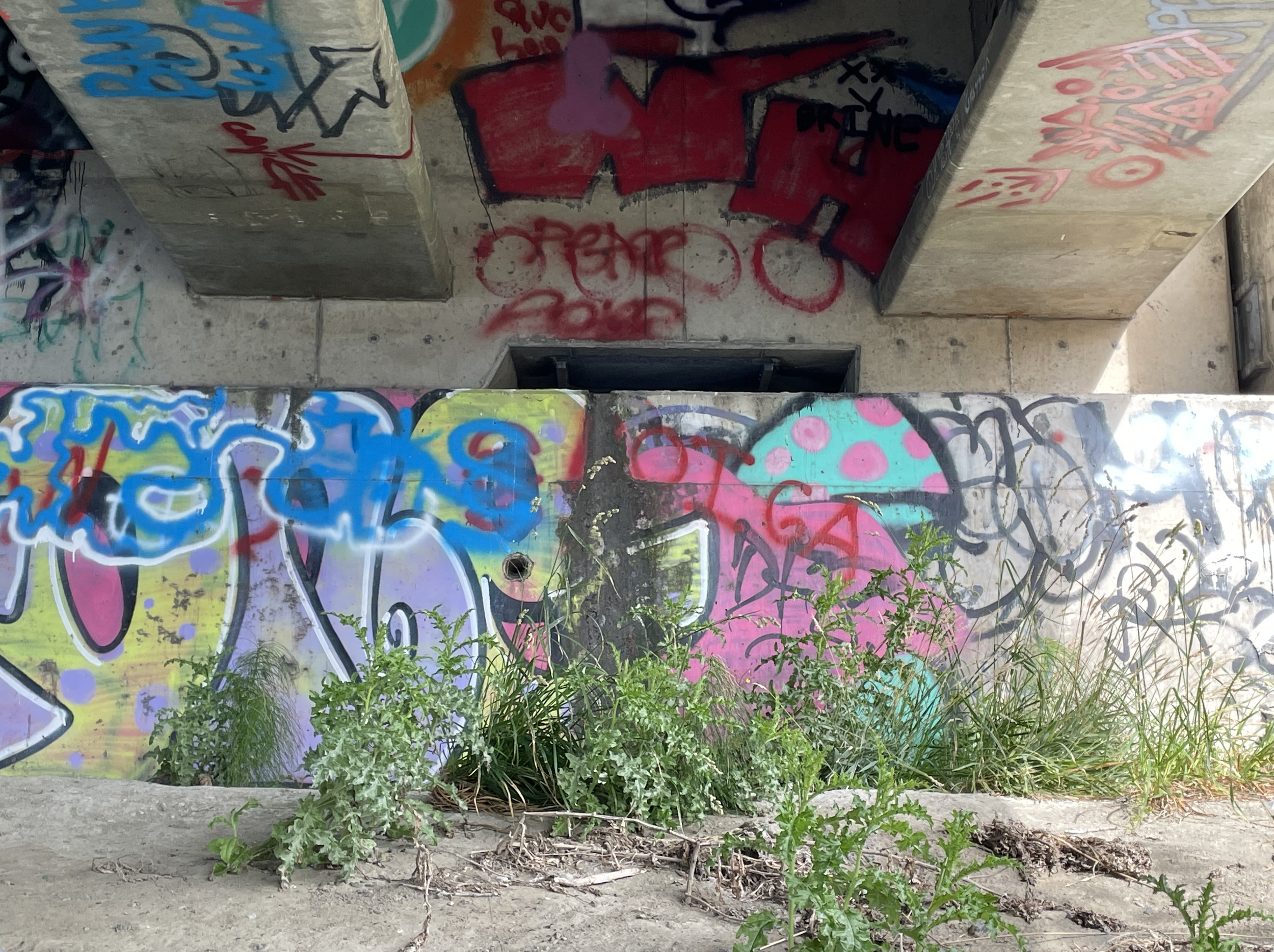 Photo by Hillary Smith, PIGU were delivering to this cubby!