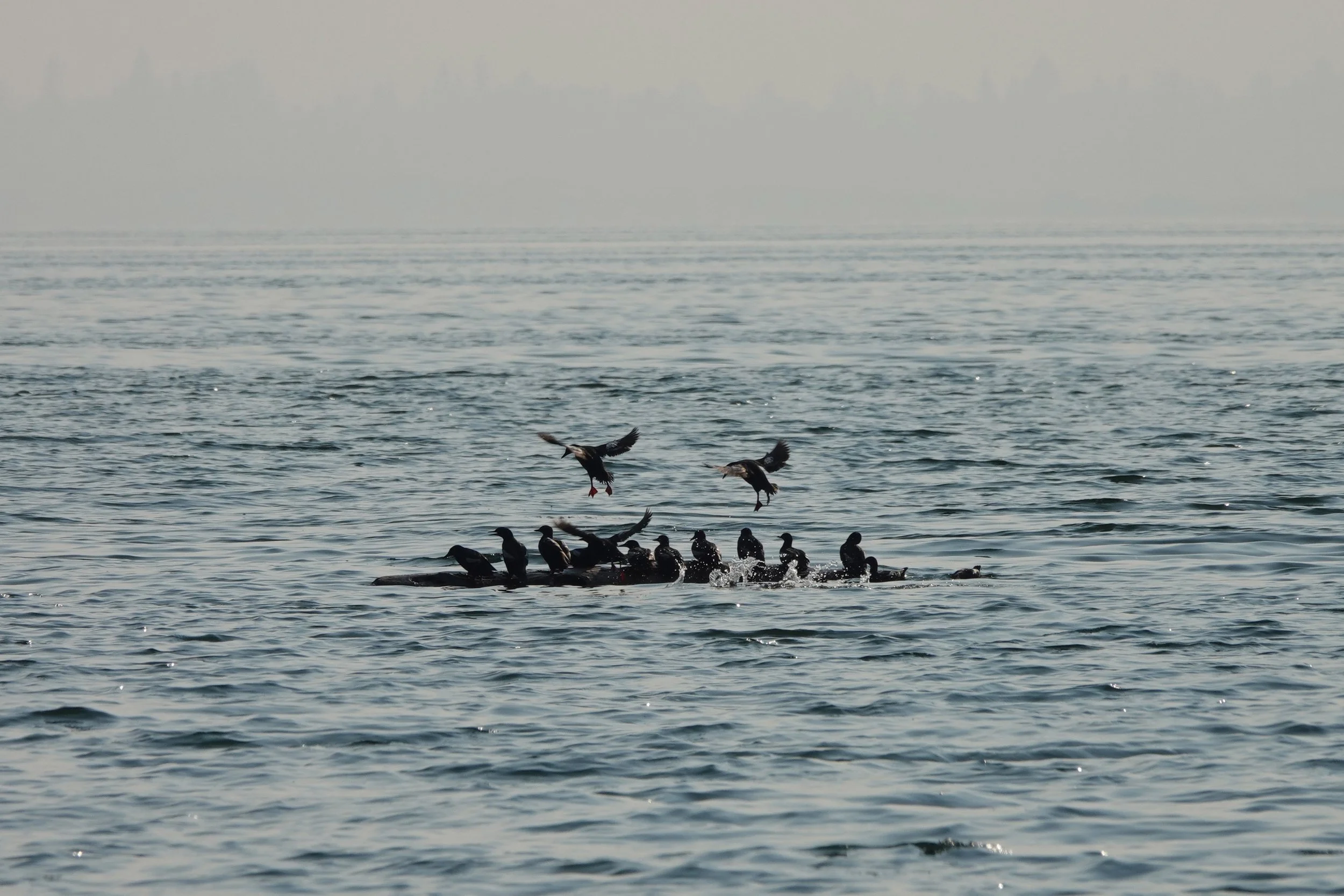 DSC05107_edited-1.jpg