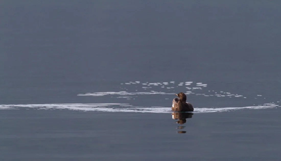 Week 13: August 25th - 31st