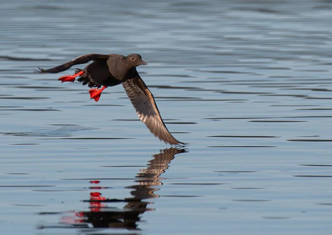 Photo: Hillary Smith