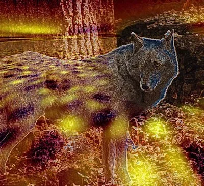 Bill Abramson — Arrowhead Gallery & Studios