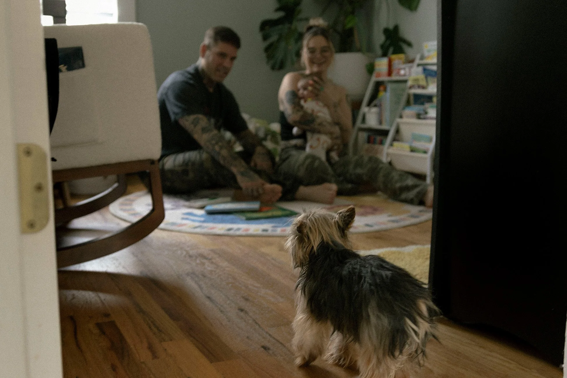A small dog observing two people sitting with their baby on the floor in a cozy room, with a bookshelf and houseplants in the background.